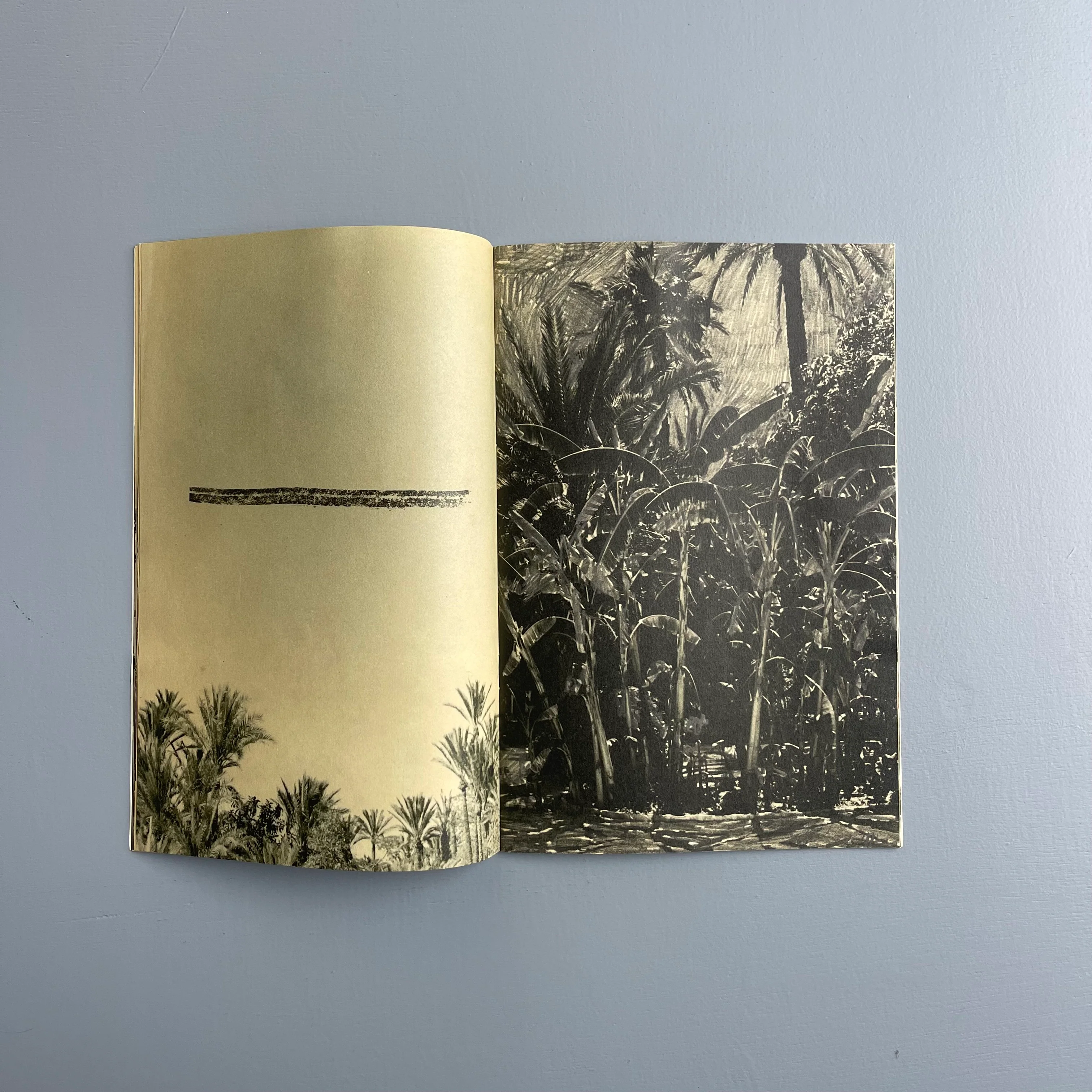 02 Bruno V. Roels - Saint Laurent Rive Droite 2022 - Image 8