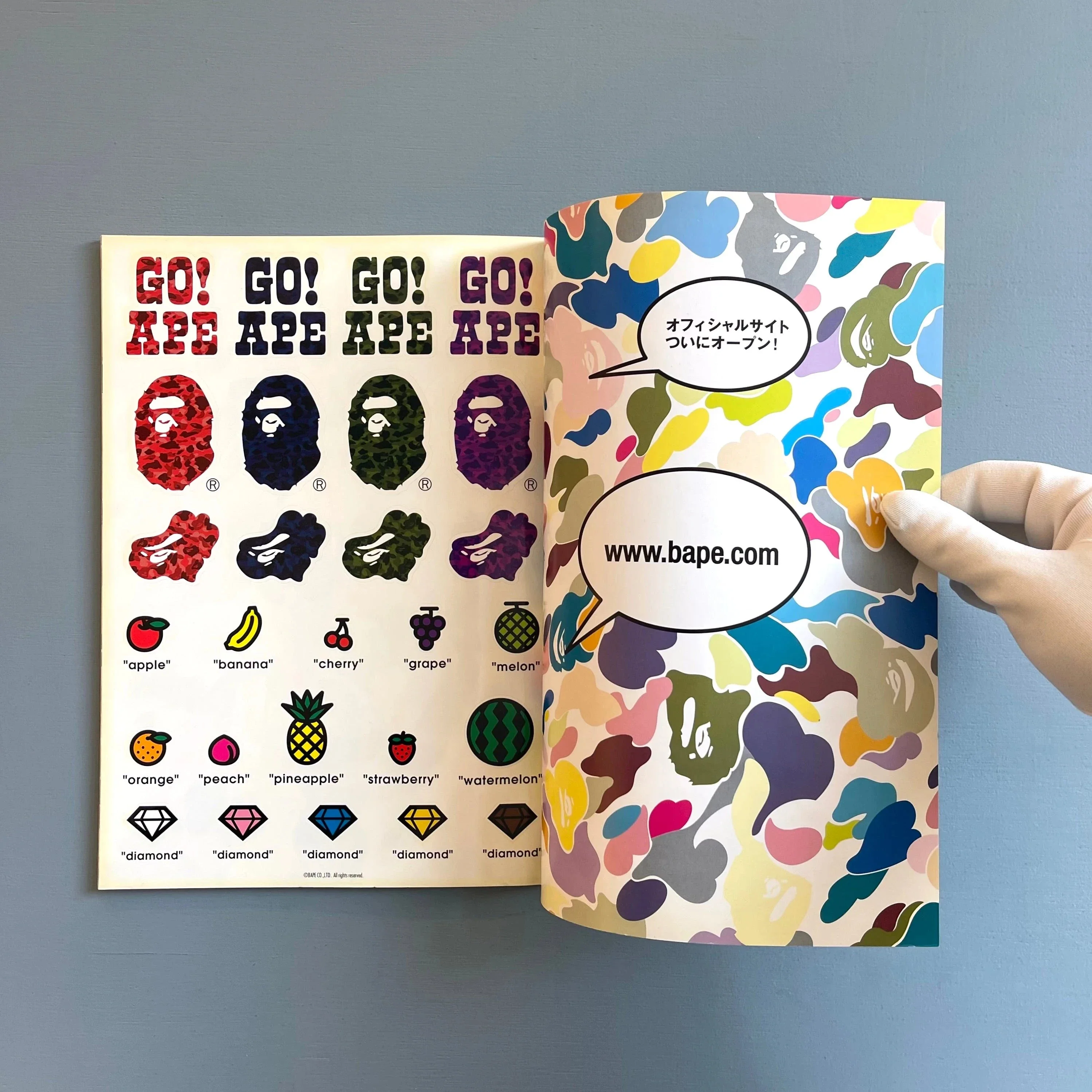 A Bathing Ape - Autumn/Winter 2005 - Image 2