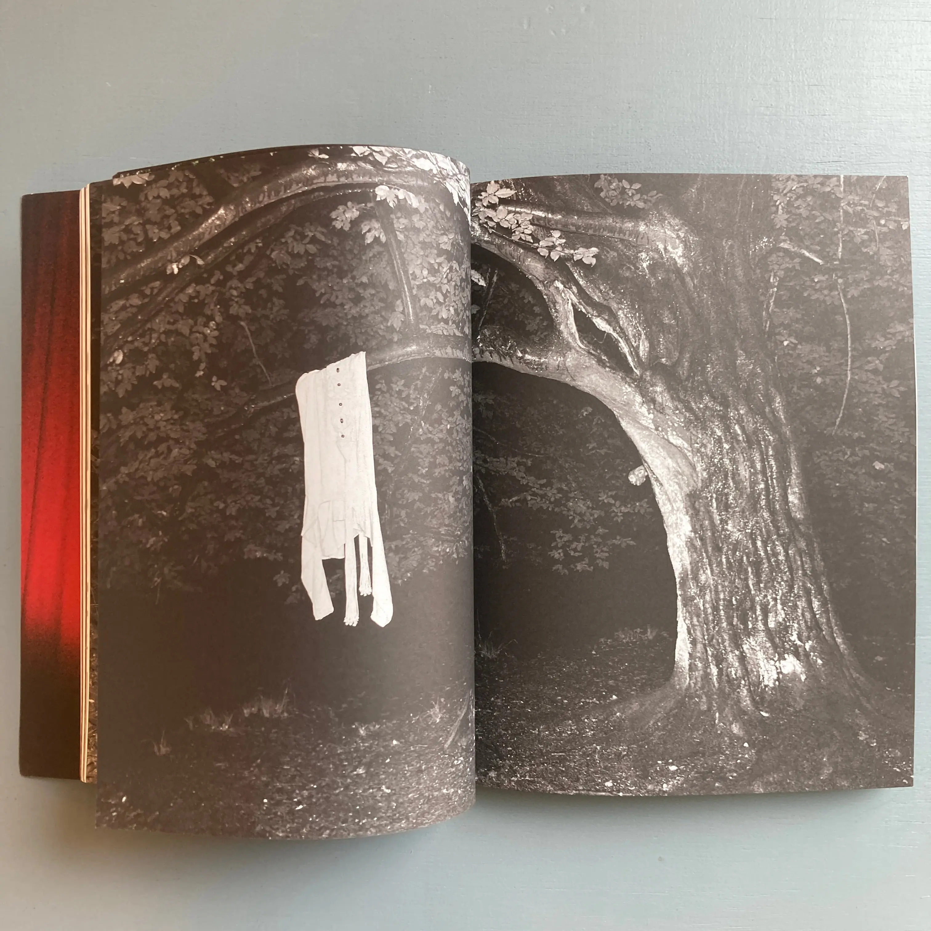 A Magazine curated by N°6 Veronique Branquinho - 2007 - Image 7