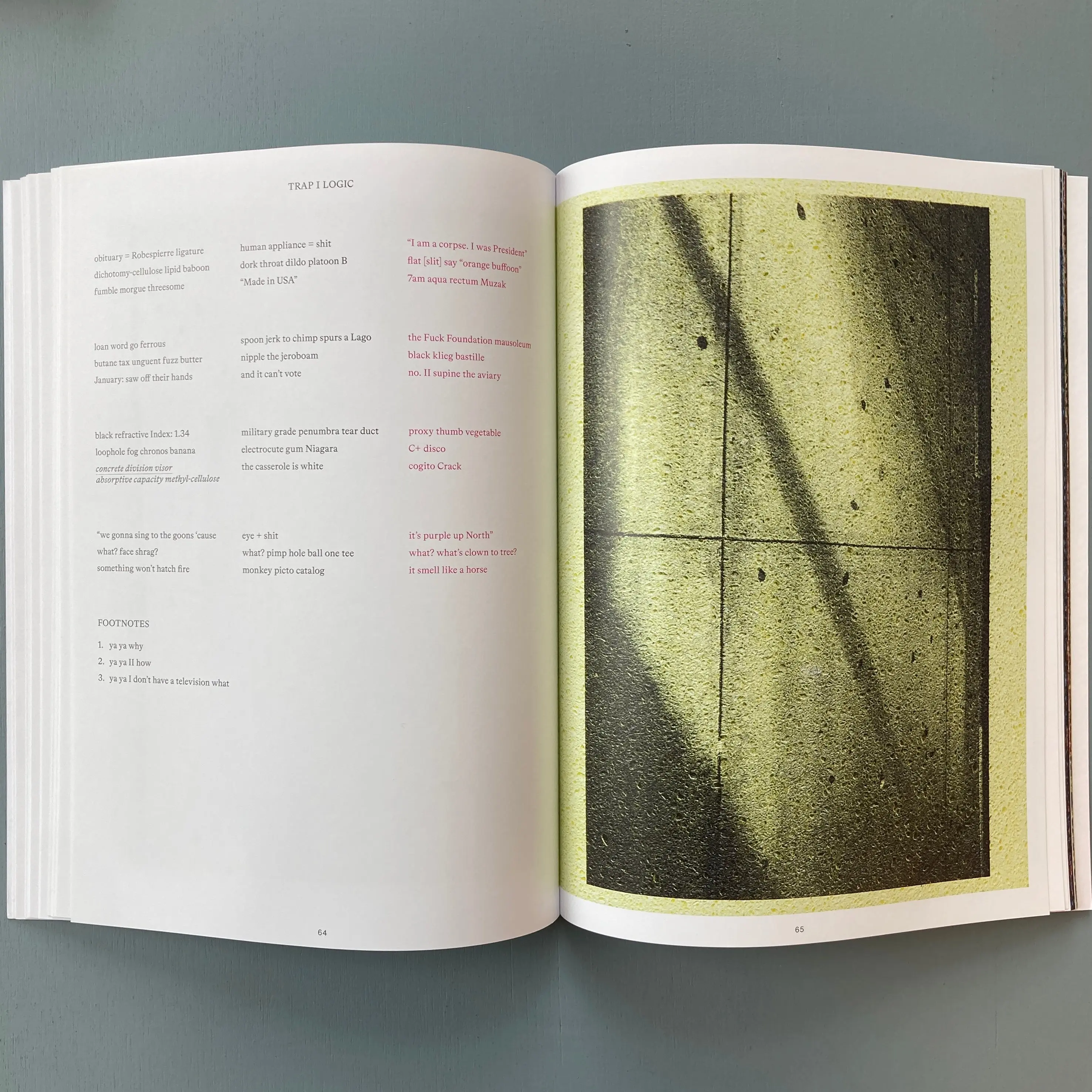 Adam McEwen - Sidewalks - Zolo Press 2022 - Image 7