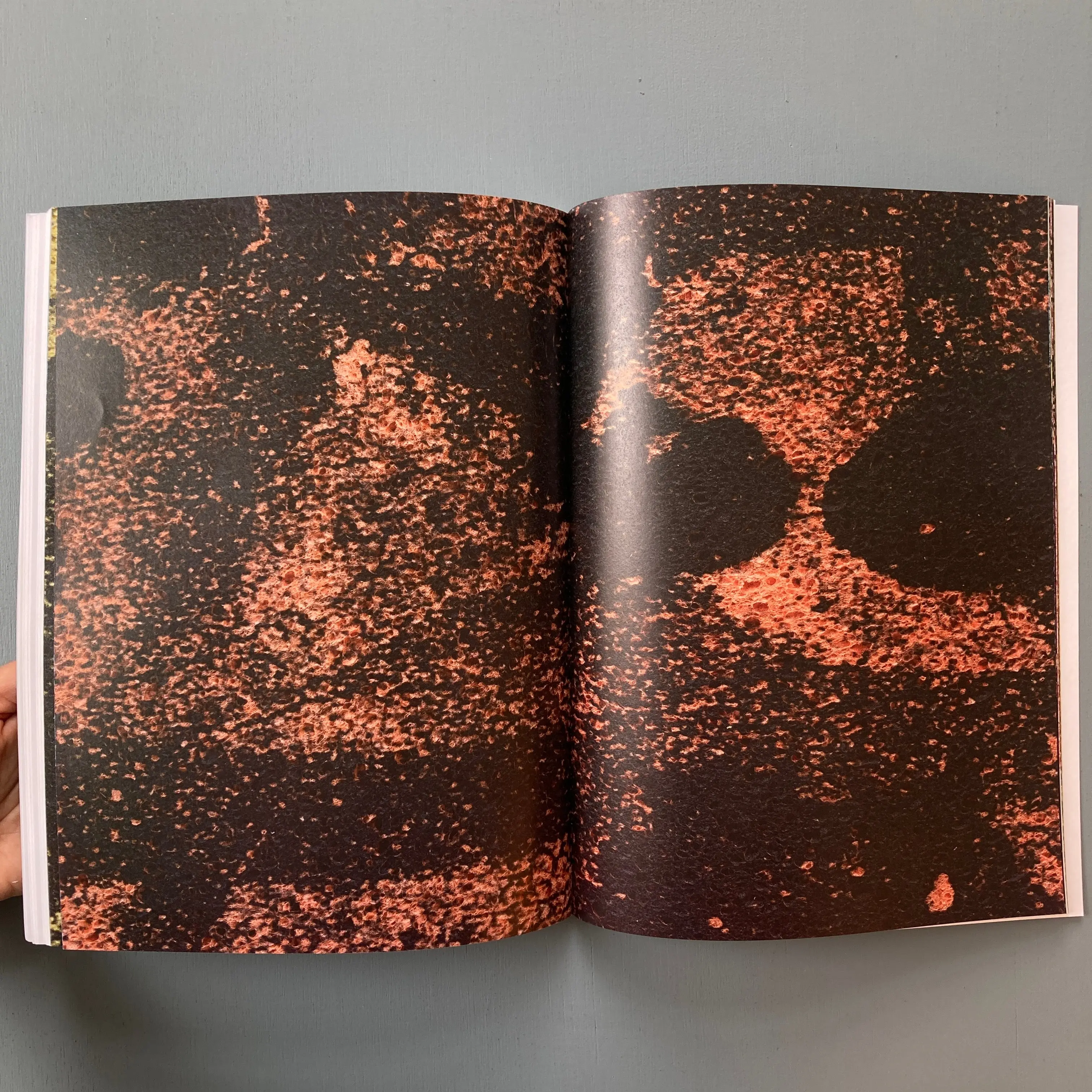 Adam McEwen - Sidewalks - Zolo Press 2022 - Image 8