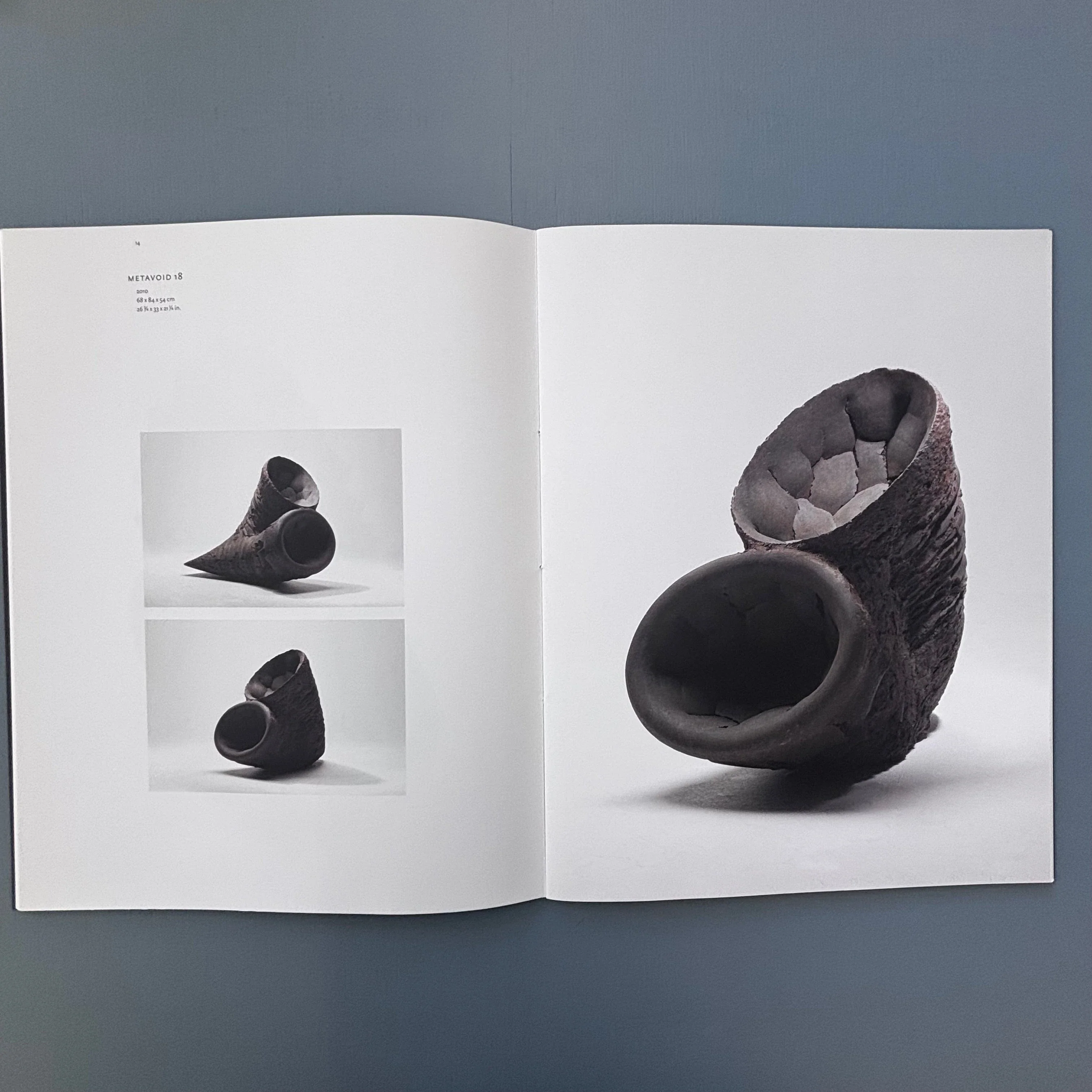 Akiyama Yō - Pierre-Marie Giraud 2010 - Image 3
