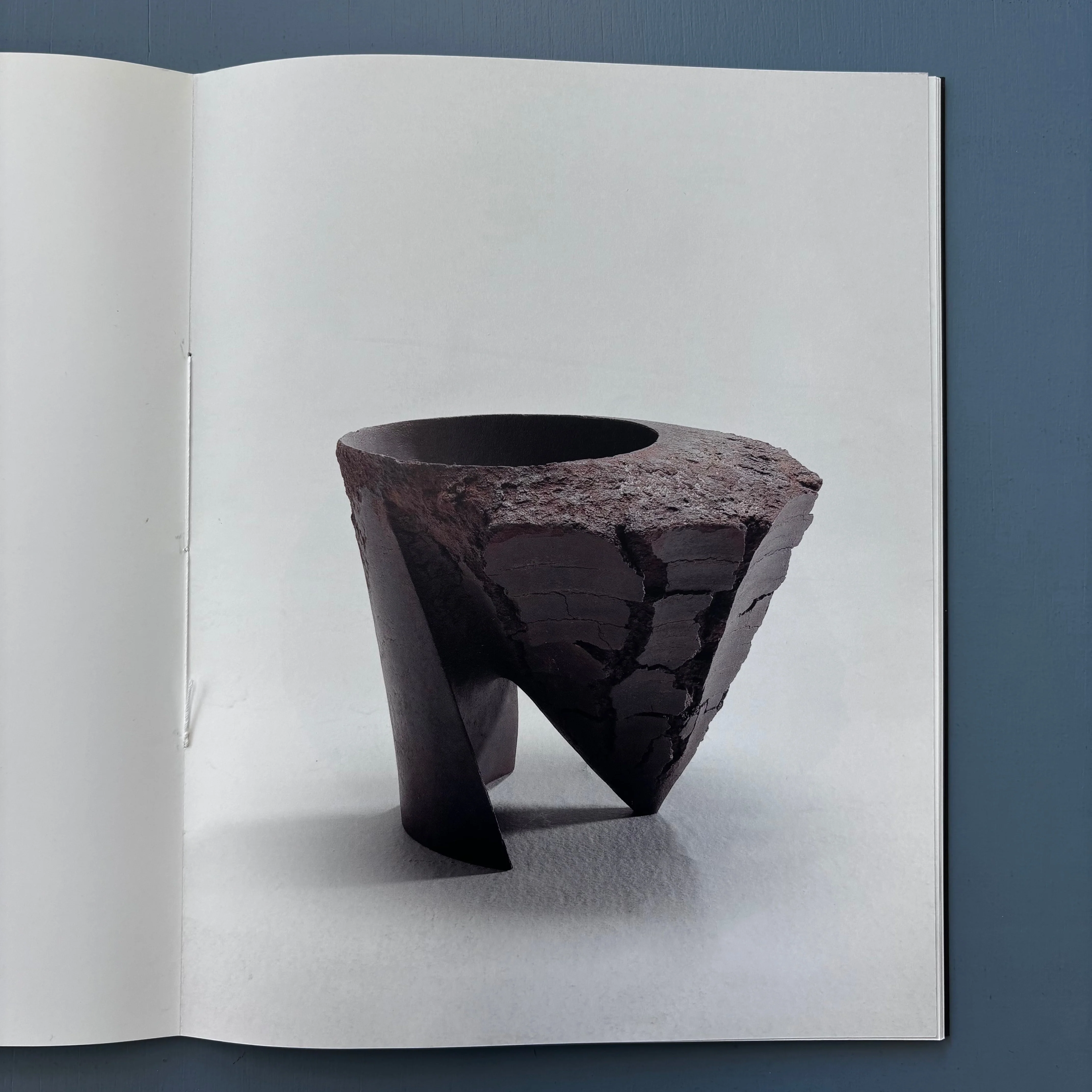 Akiyama Yō - Pierre-Marie Giraud 2010 - Image 4