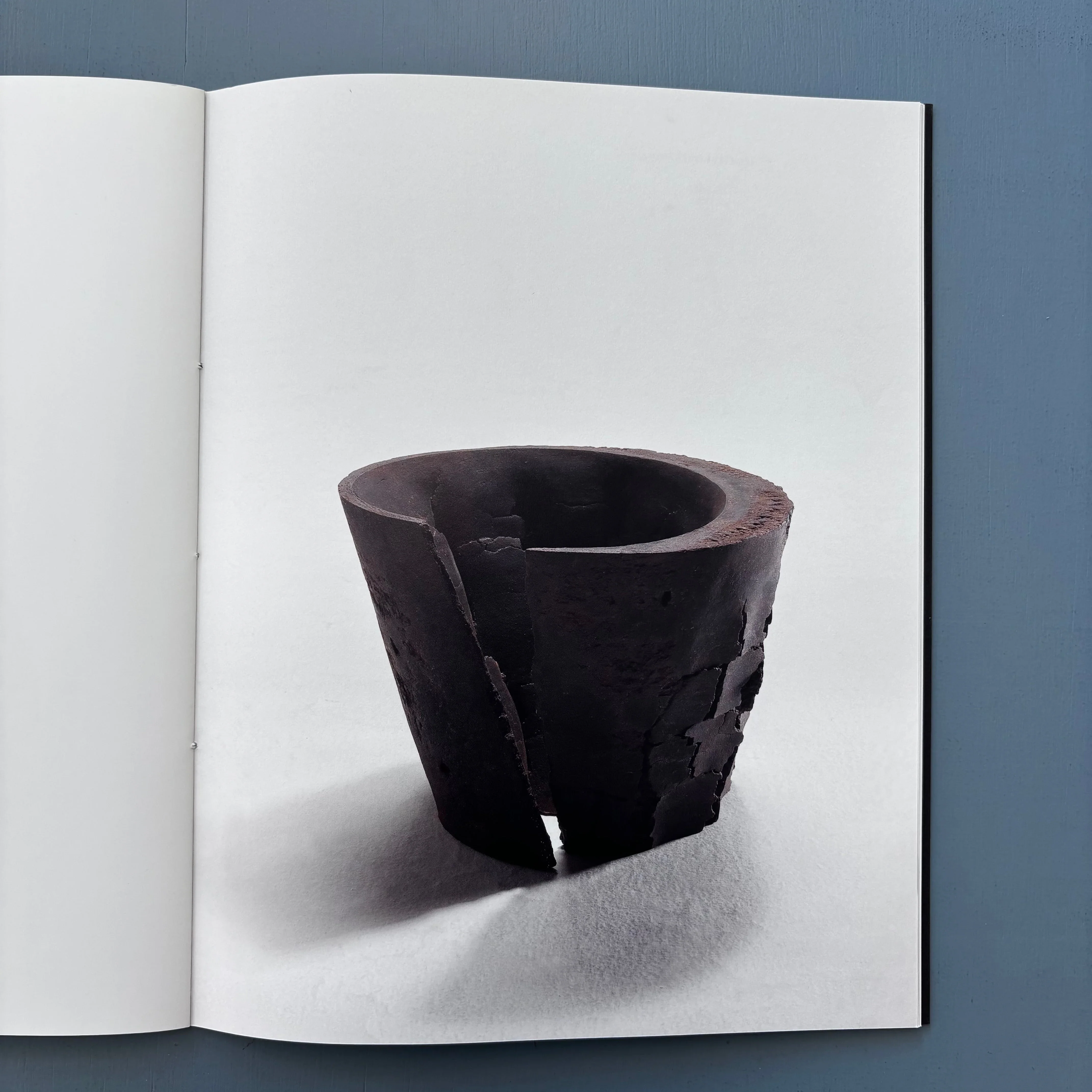 Akiyama Yō - Pierre-Marie Giraud 2010 - Image 5