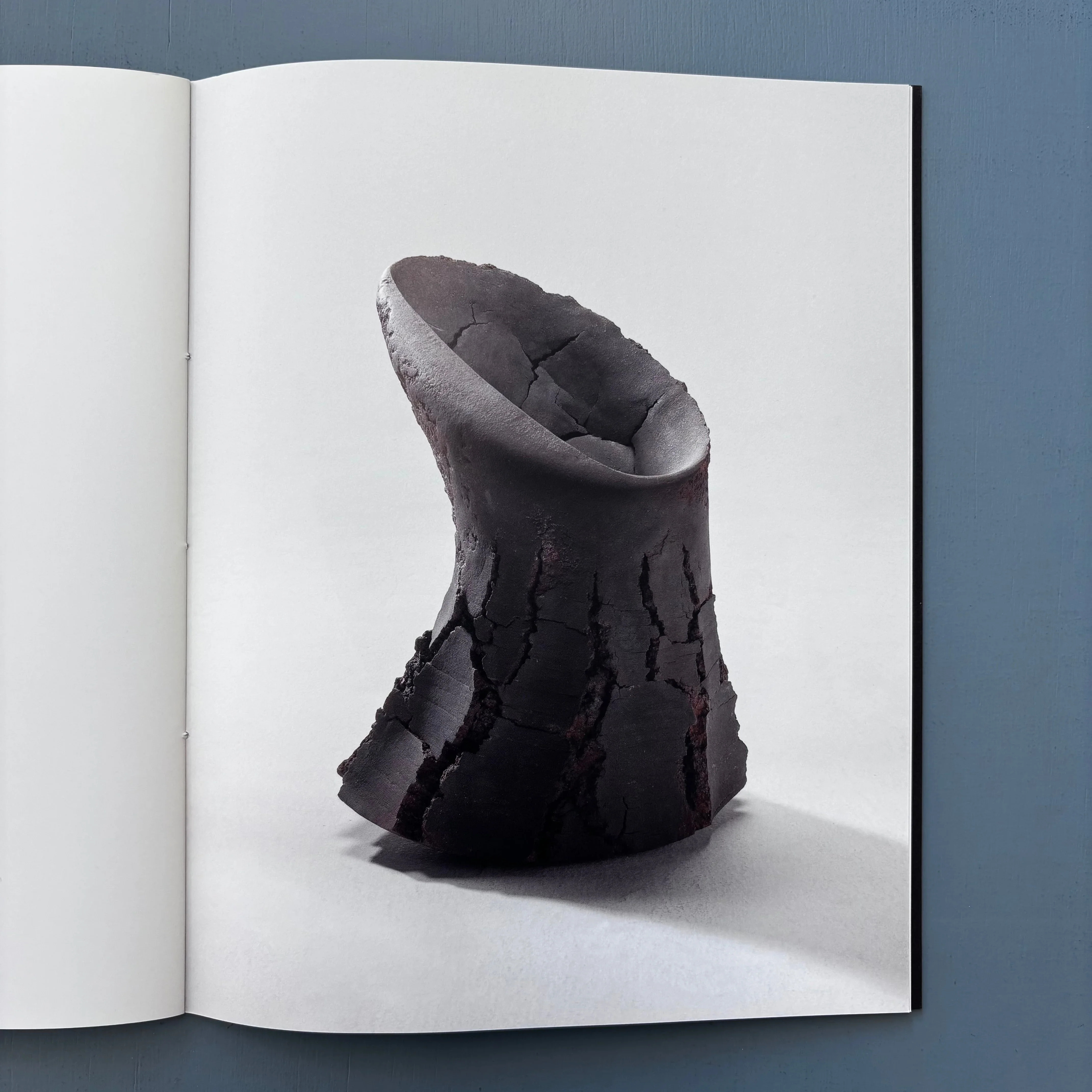 Akiyama Yō - Pierre-Marie Giraud 2010 - Image 6