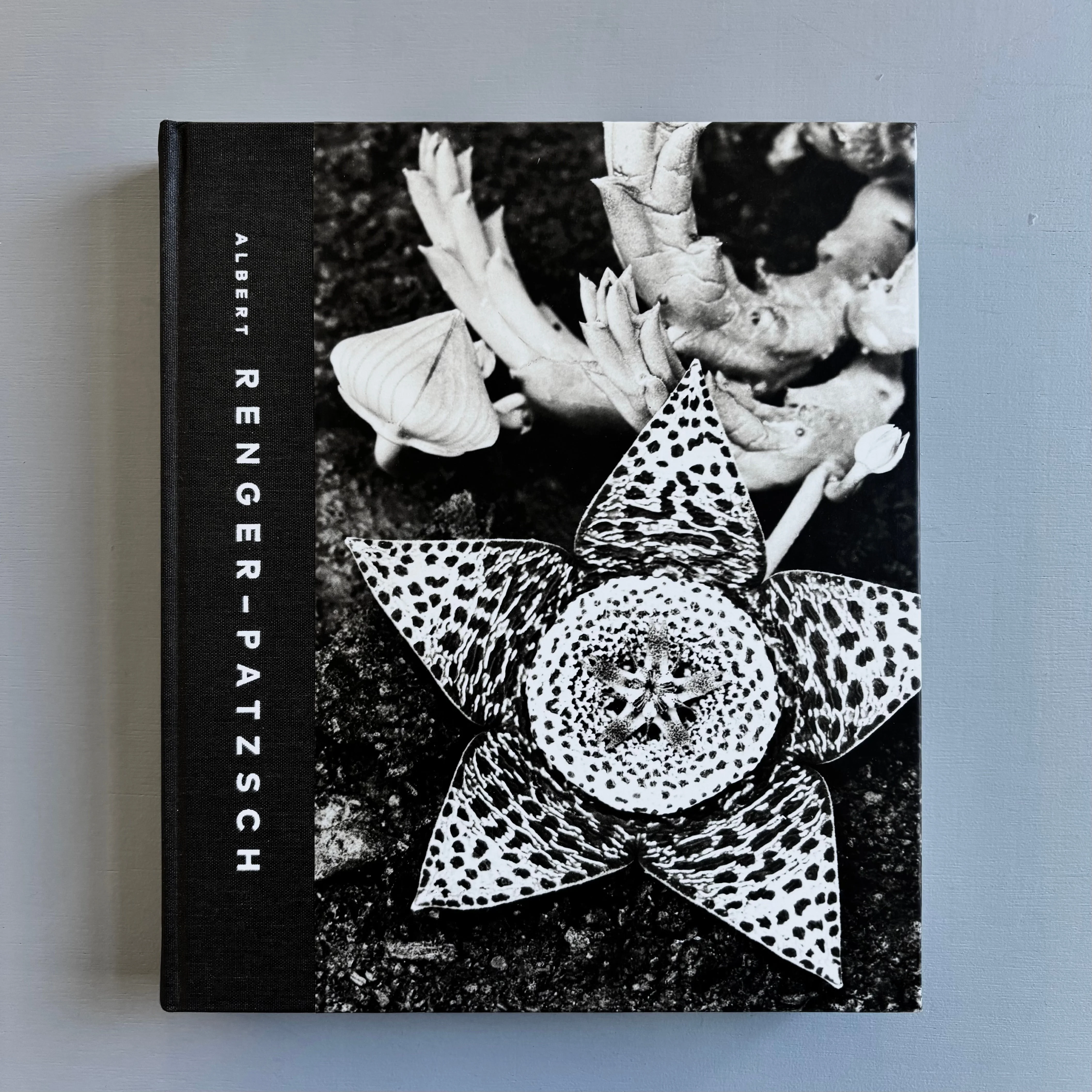 Albert Renger-Patzsch - Editions Xavier Barral 2017