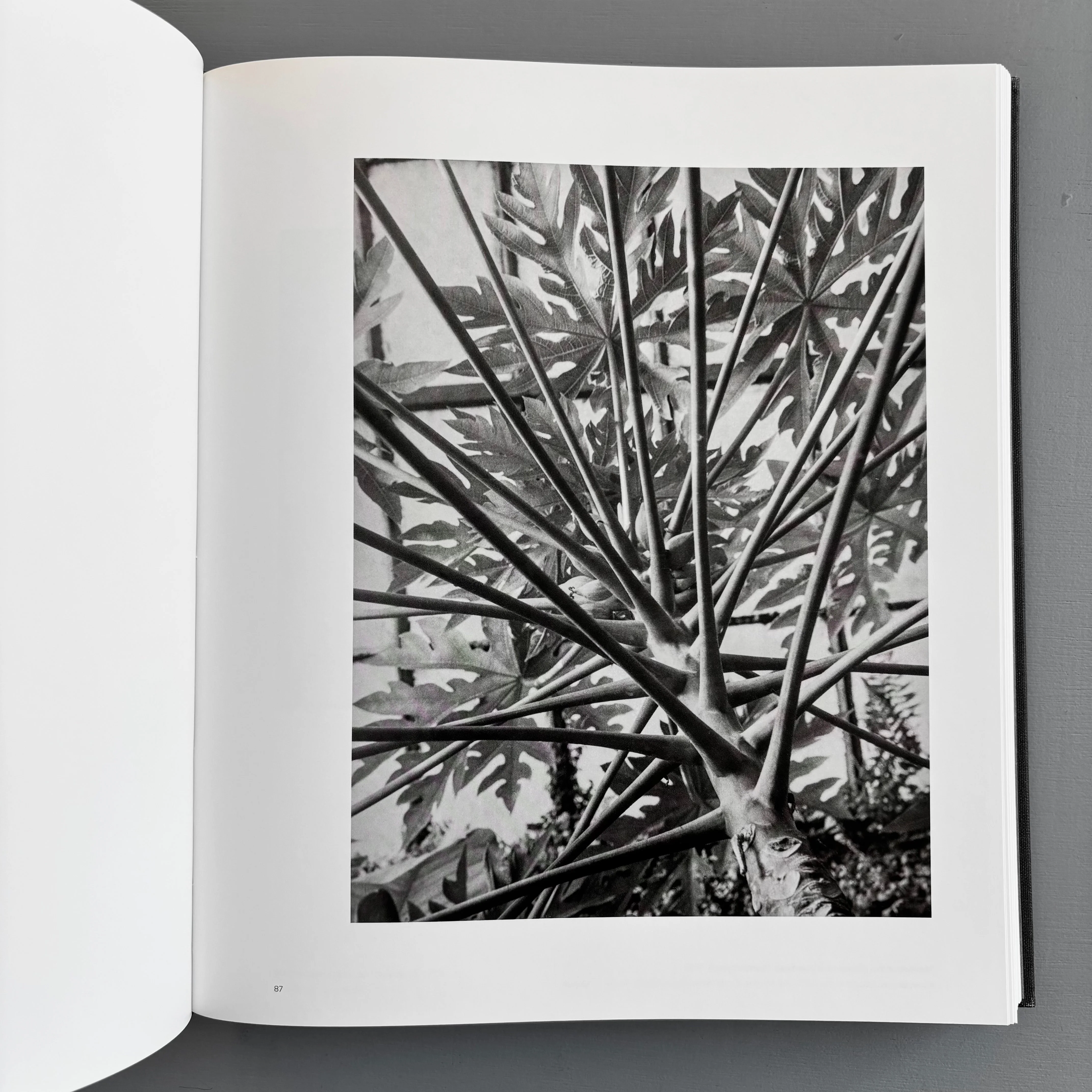 Albert Renger-Patzsch - Editions Xavier Barral 2017 - Image 4