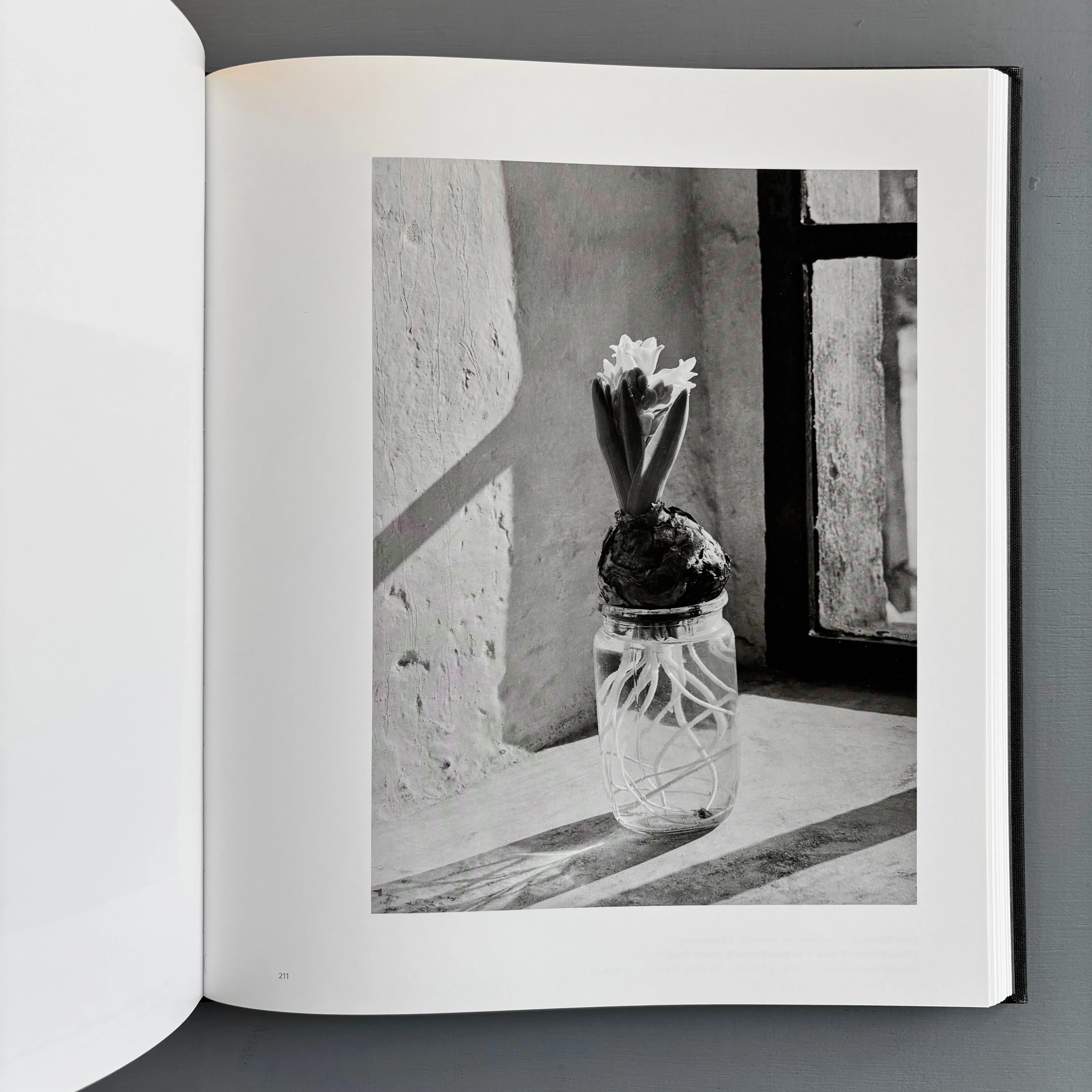 Albert Renger-Patzsch - Editions Xavier Barral 2017 - Image 8