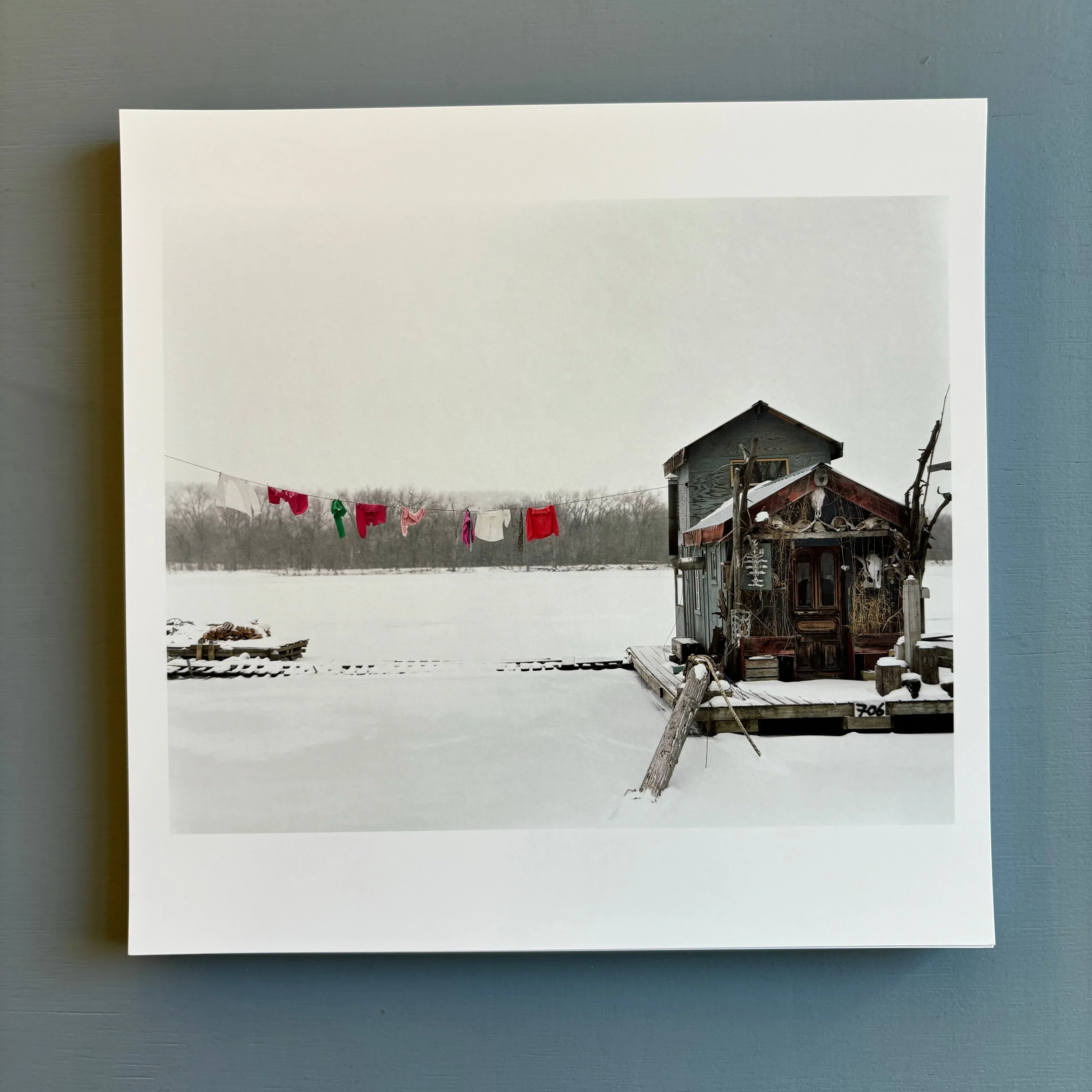 Alec Soth - Gathered Leaves - Mack 2015 - Image 11