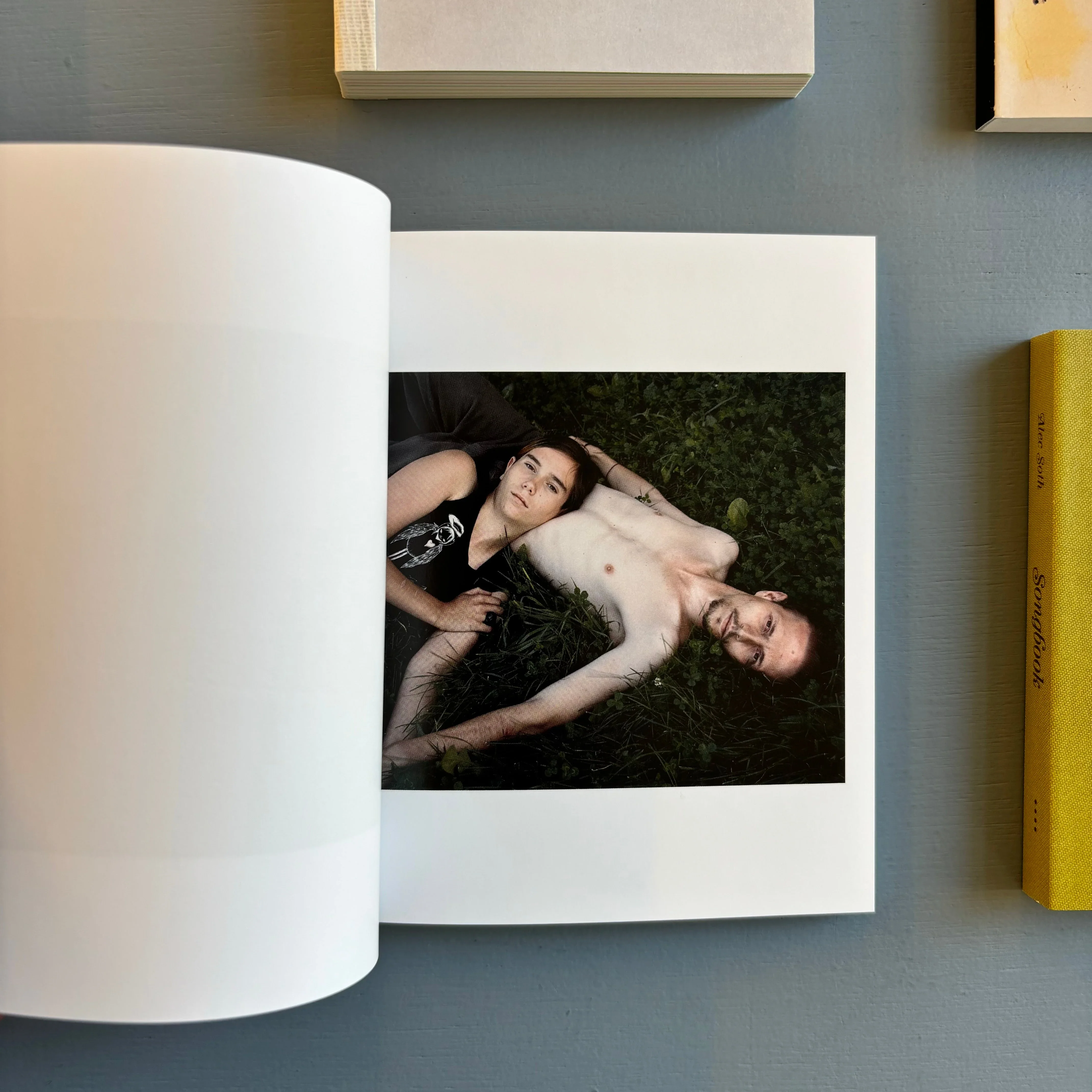 Alec Soth - Gathered Leaves - Mack 2015 - Image 5