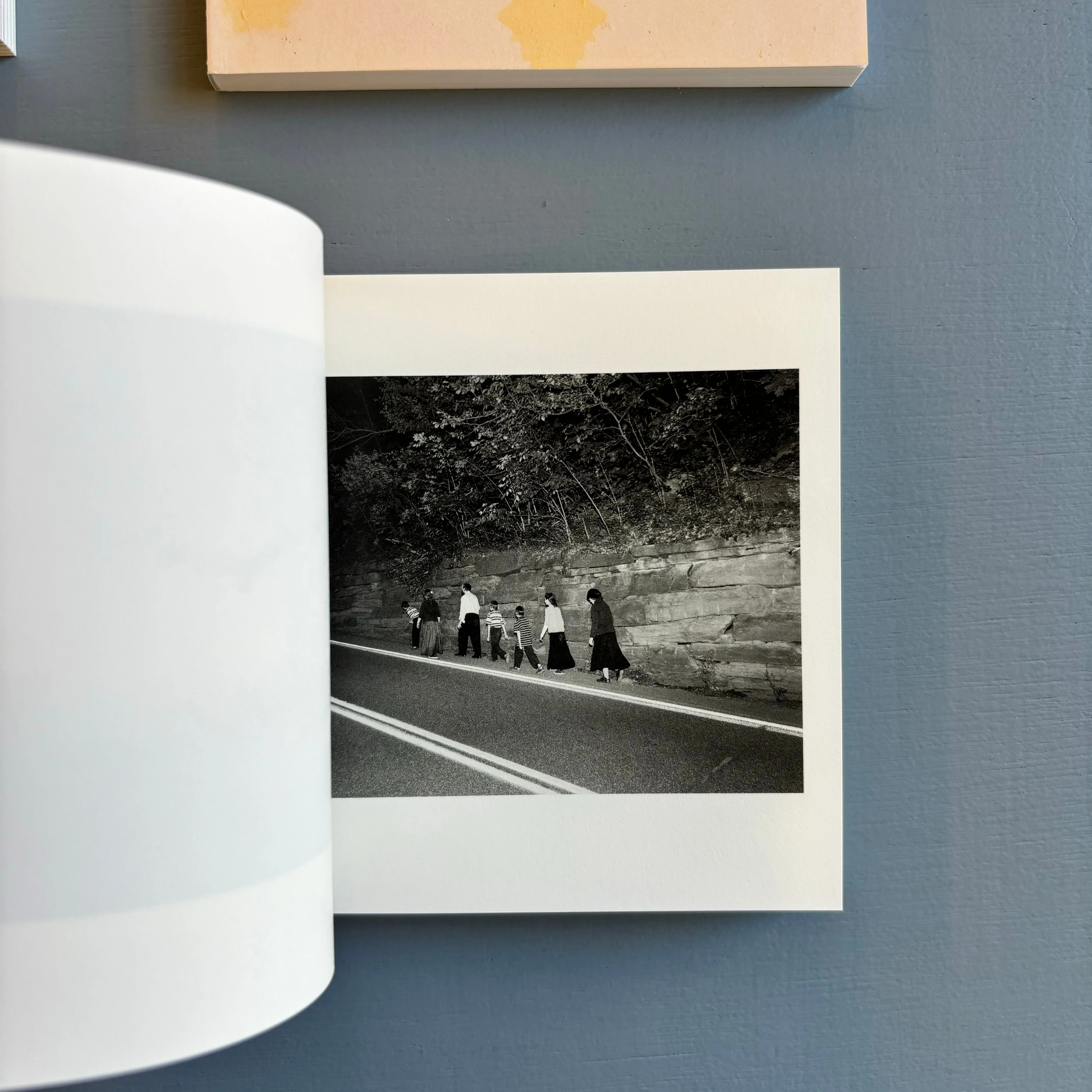 Alec Soth - Gathered Leaves - Mack 2015 - Image 6