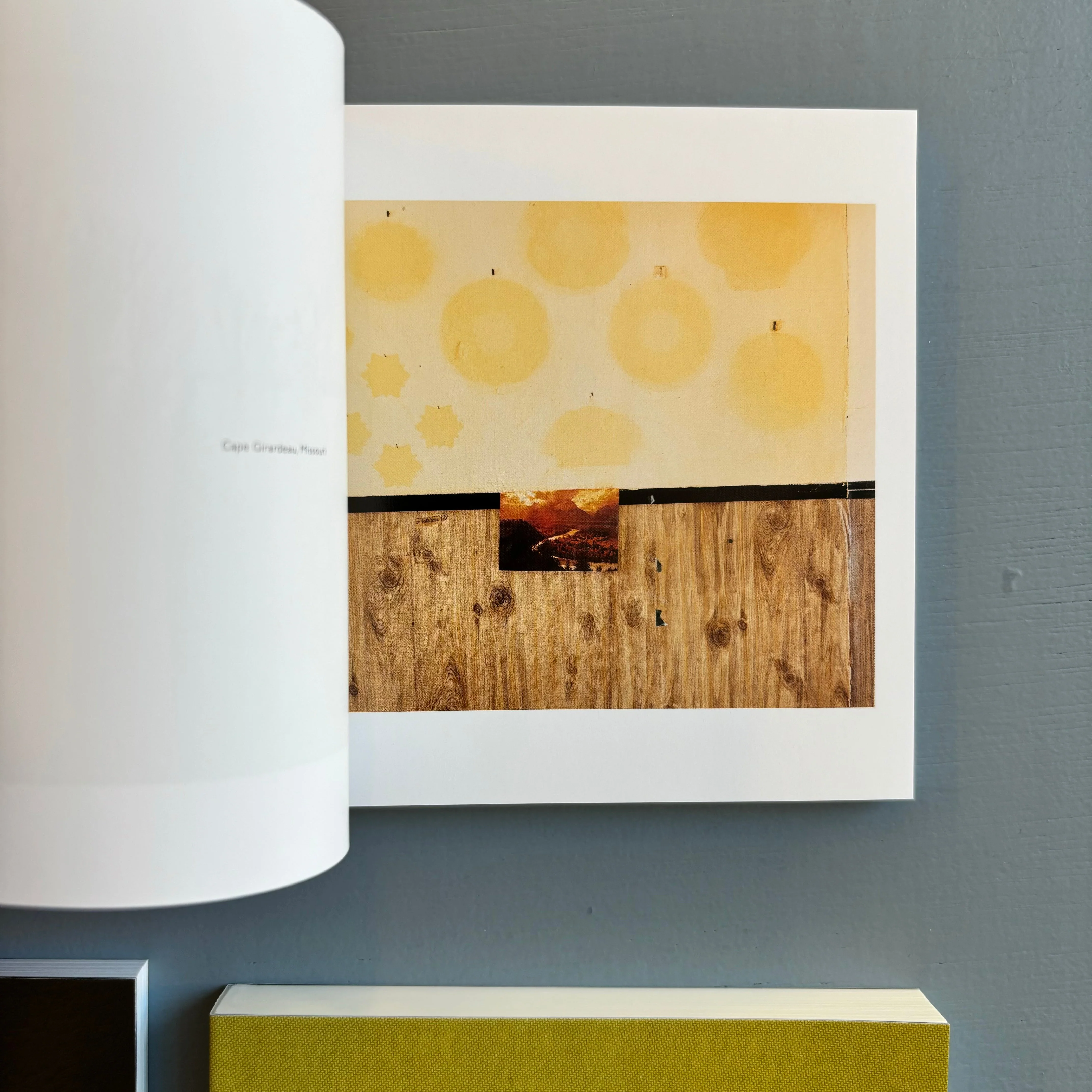 Alec Soth - Gathered Leaves - Mack 2015 - Image 7
