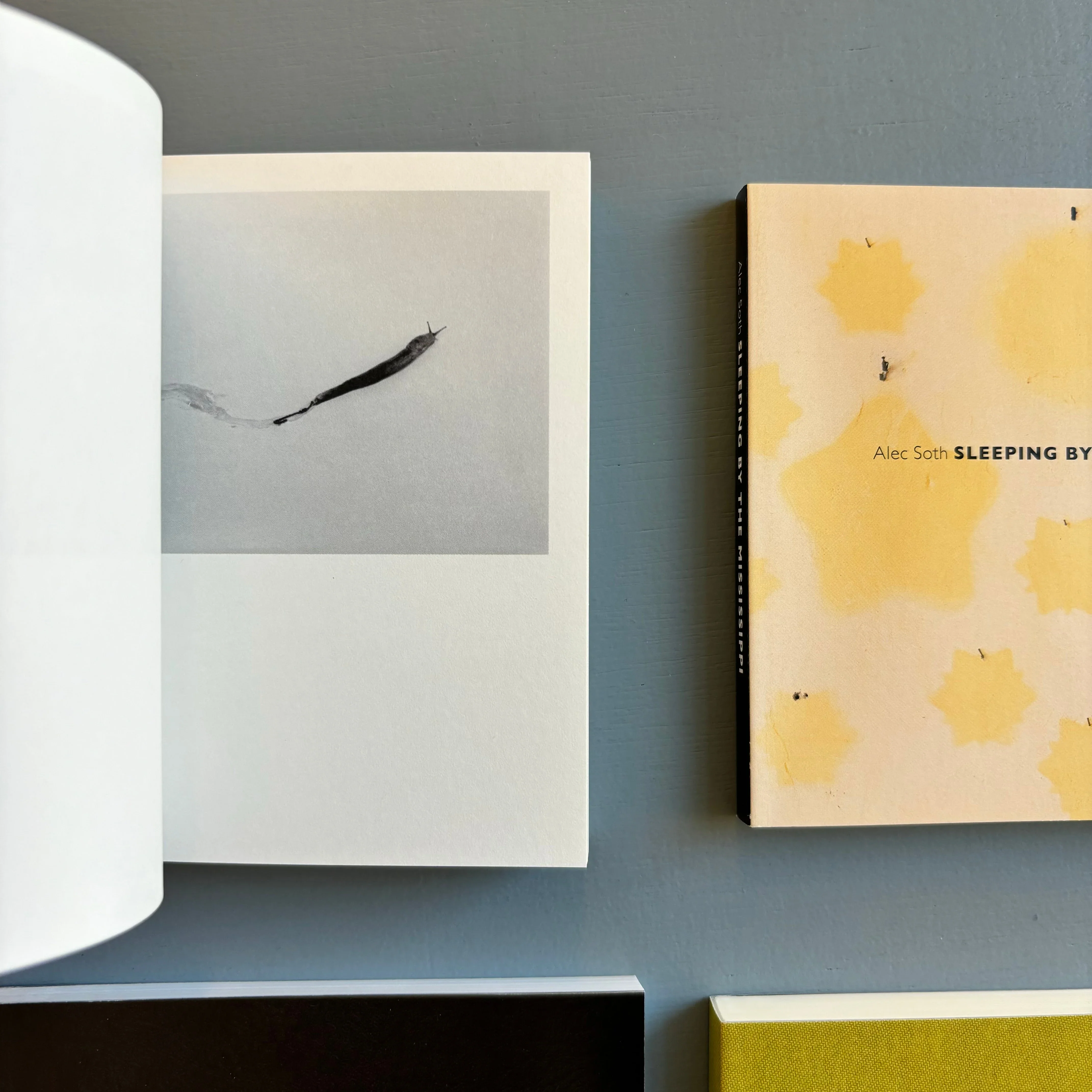 Alec Soth - Gathered Leaves - Mack 2015 - Image 8
