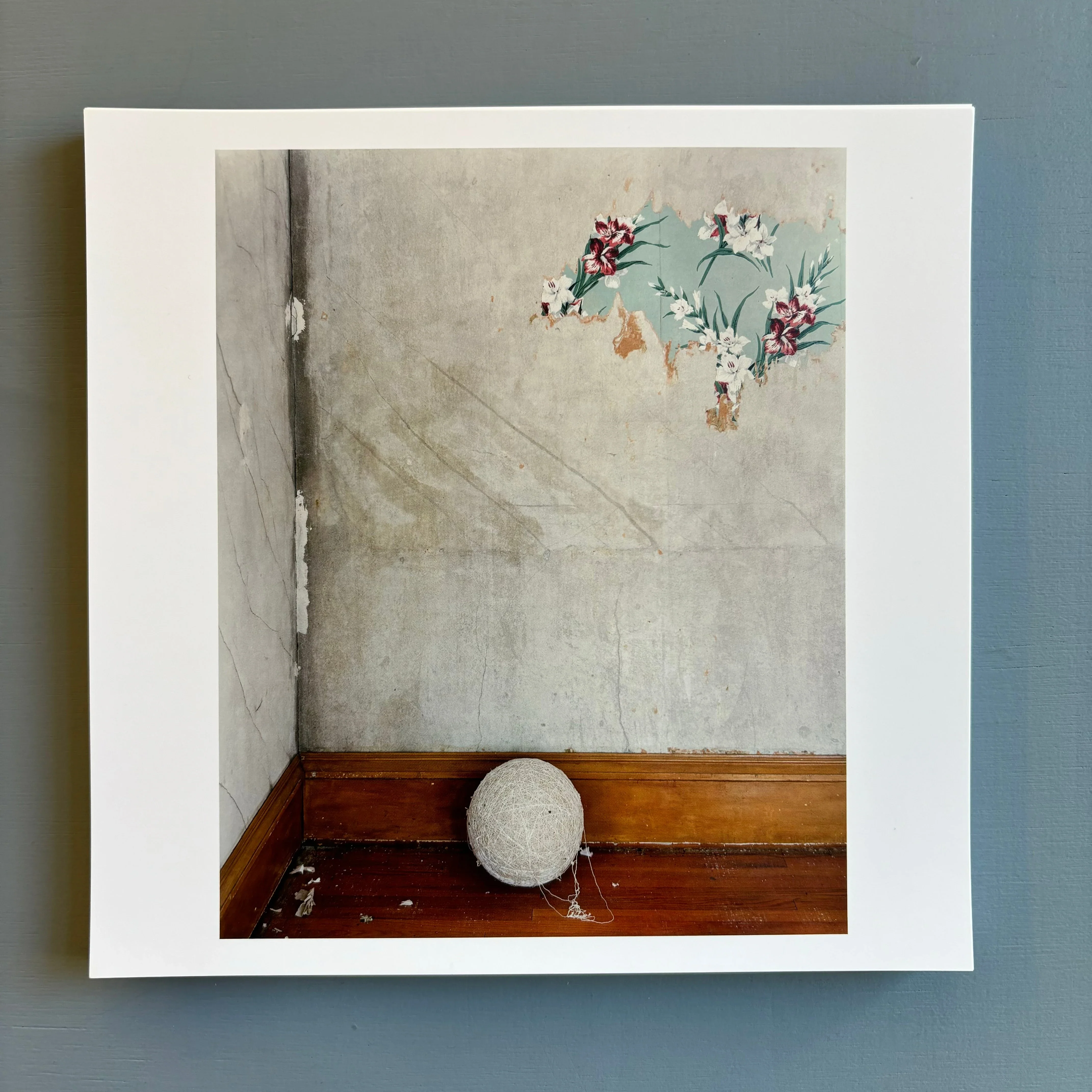 Alec Soth - Gathered Leaves - Mack 2015 - Image 9
