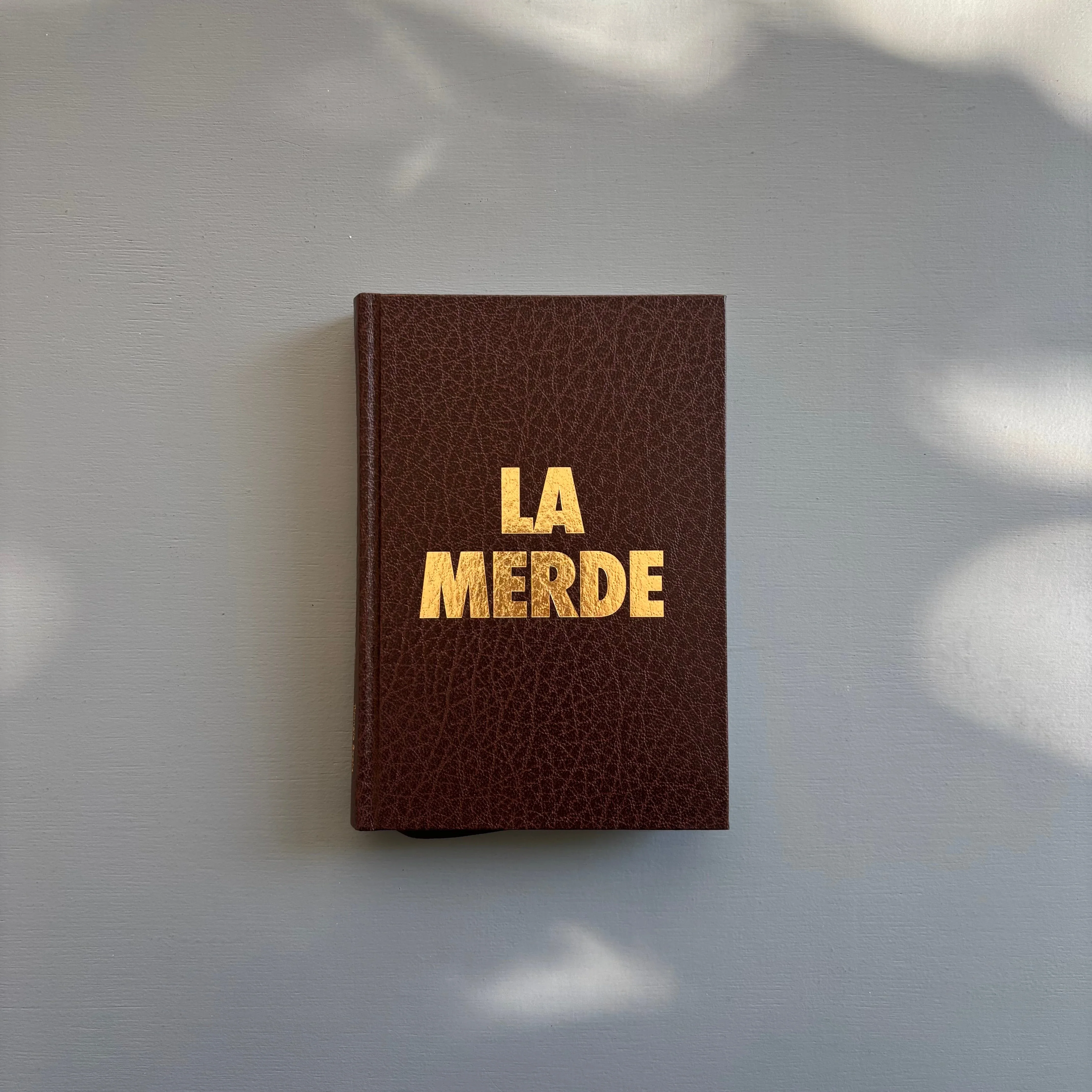Aline Bouvy - La Merde - Triangle Books 2026