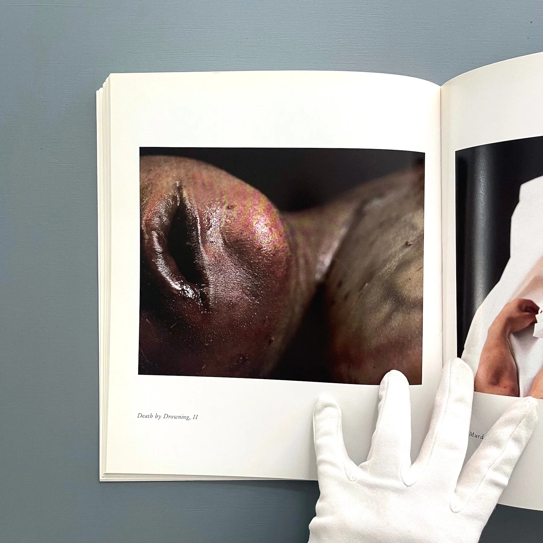 Andres Serrano - The Morgue - Yvon Lambert 1993 - Image 5