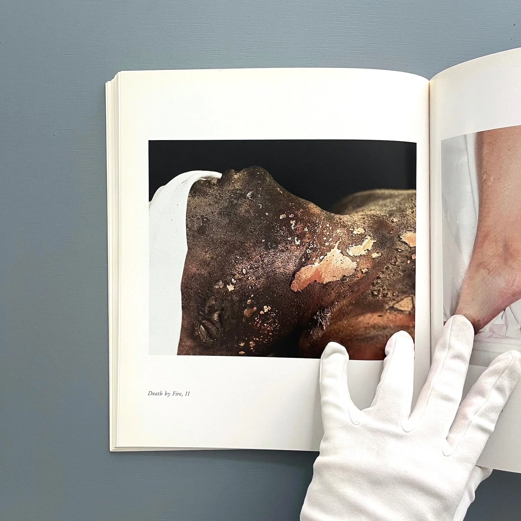 Andres Serrano - The Morgue - Yvon Lambert 1993 - Image 7