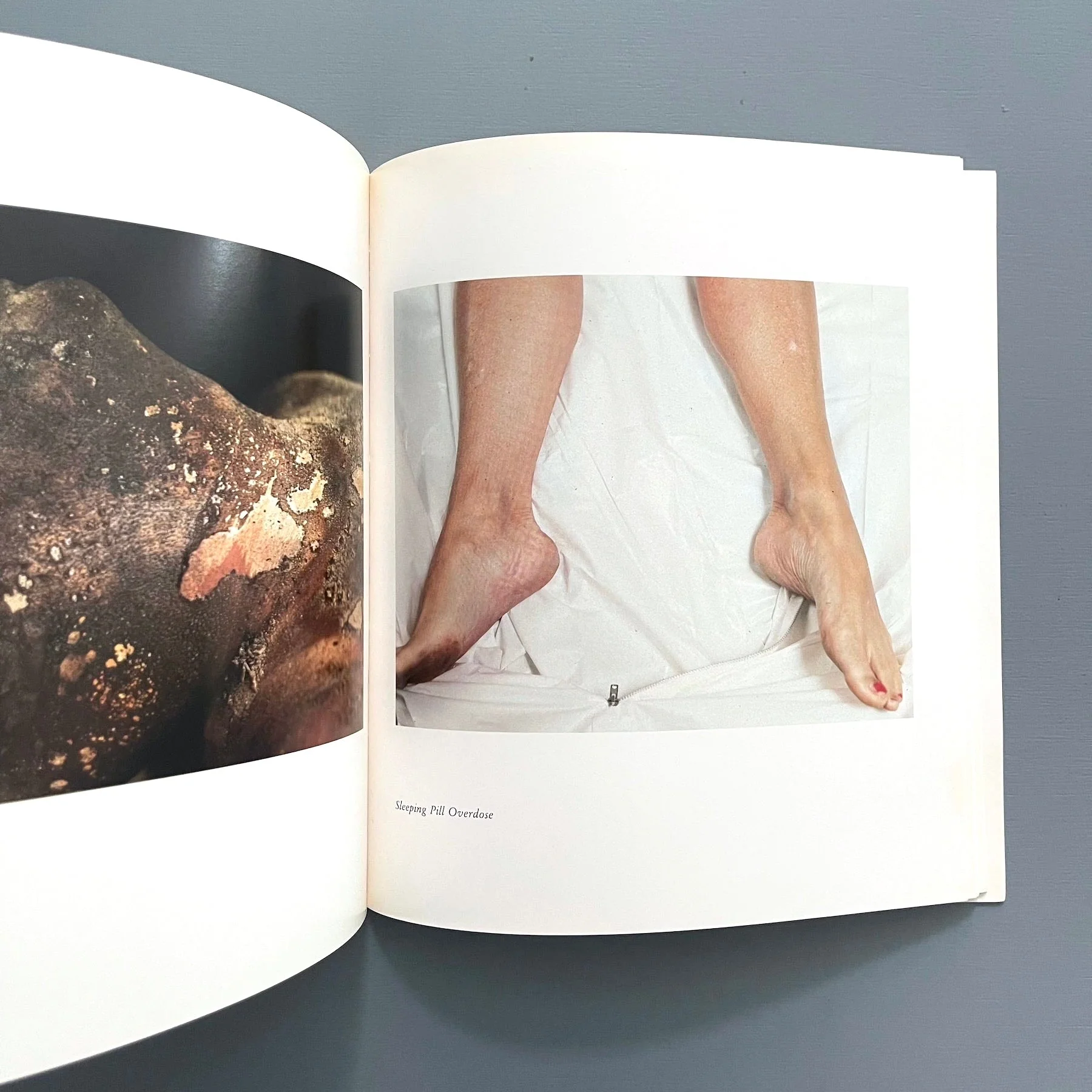 Andres Serrano - The Morgue - Yvon Lambert 1993 - Image 8