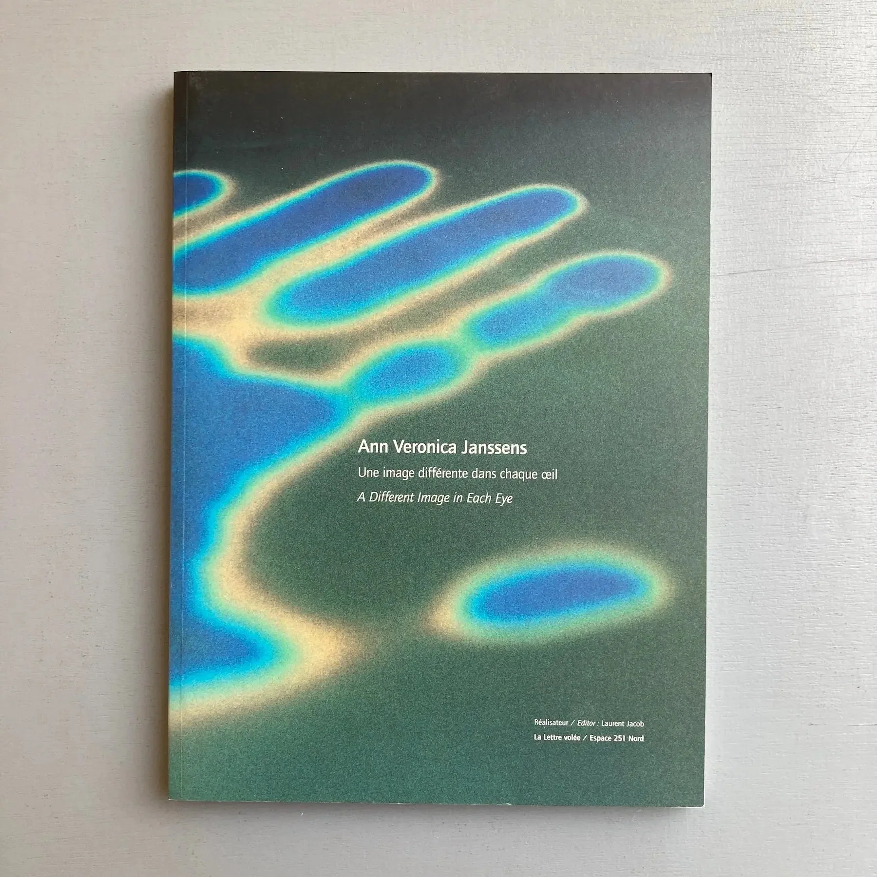 Ann Veronica Janssens - A Different Image in Each Eye - La Lettre volée 1999