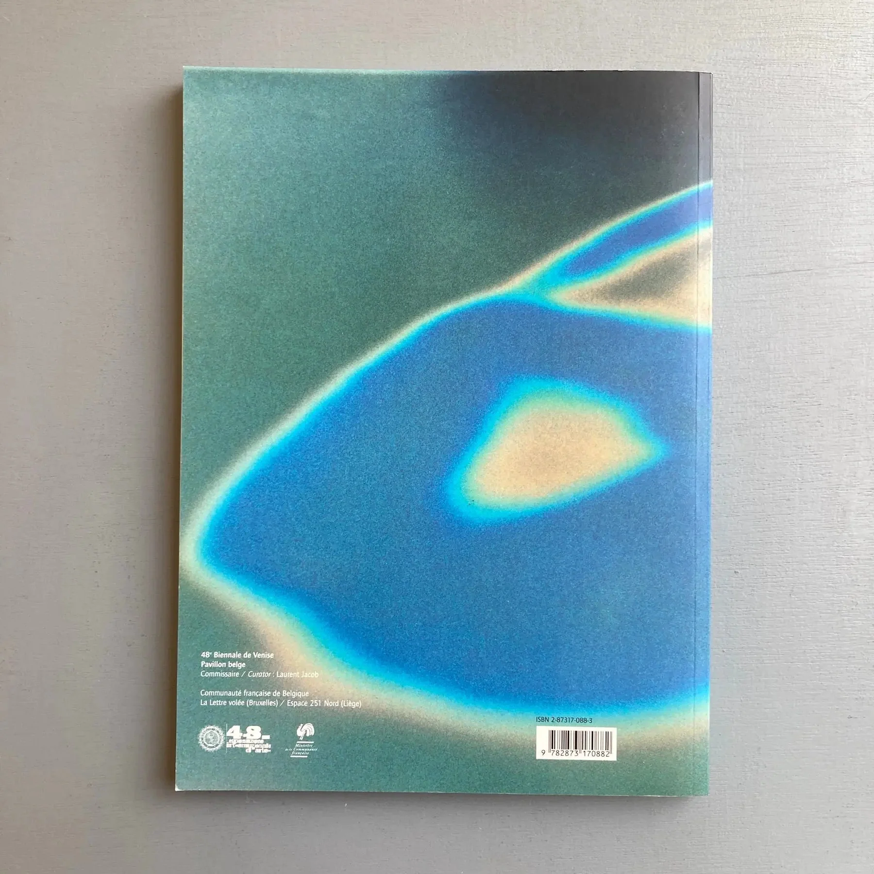 Ann Veronica Janssens - A Different Image in Each Eye - La Lettre volée 1999 - Image 10