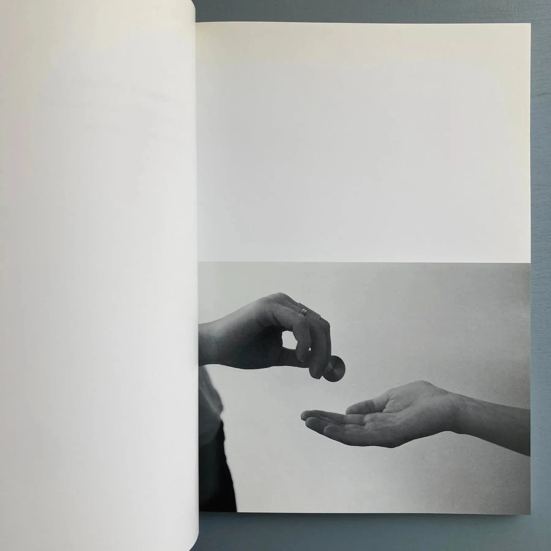 Ann Veronica Janssens - A Different Image in Each Eye - La Lettre volée 1999 - Image 2