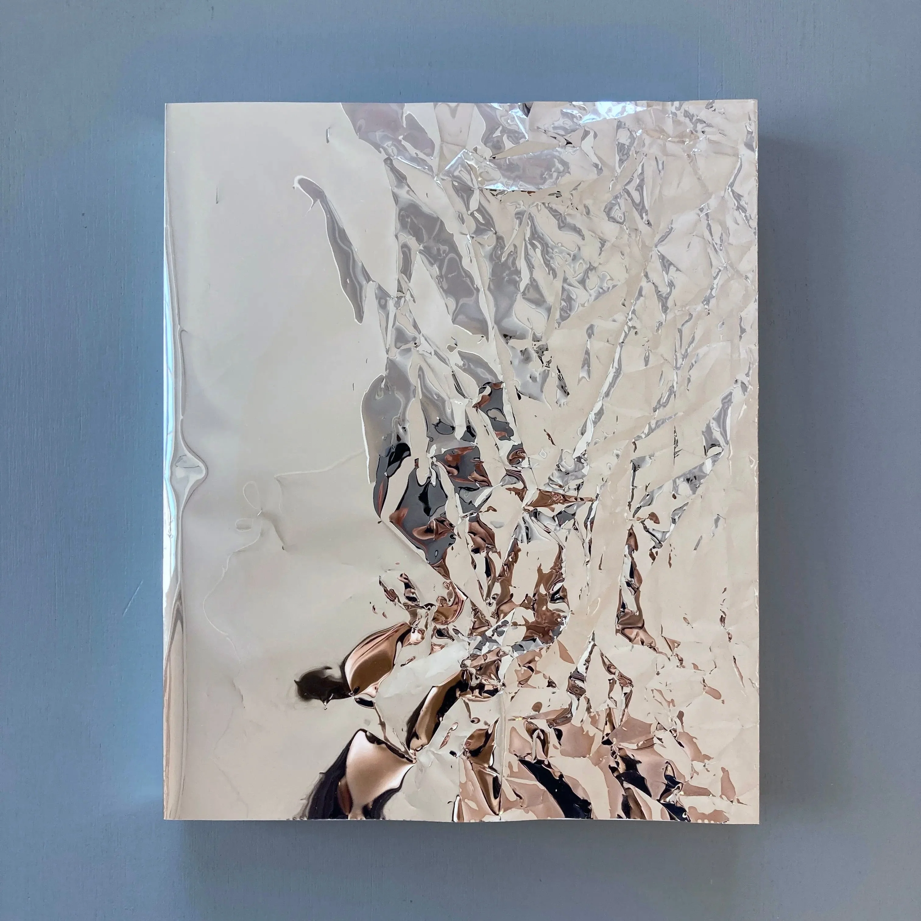 Ann Veronica Janssens, Michel François (signed) - Golden Hours - Zolo Press 2022 - Image 3