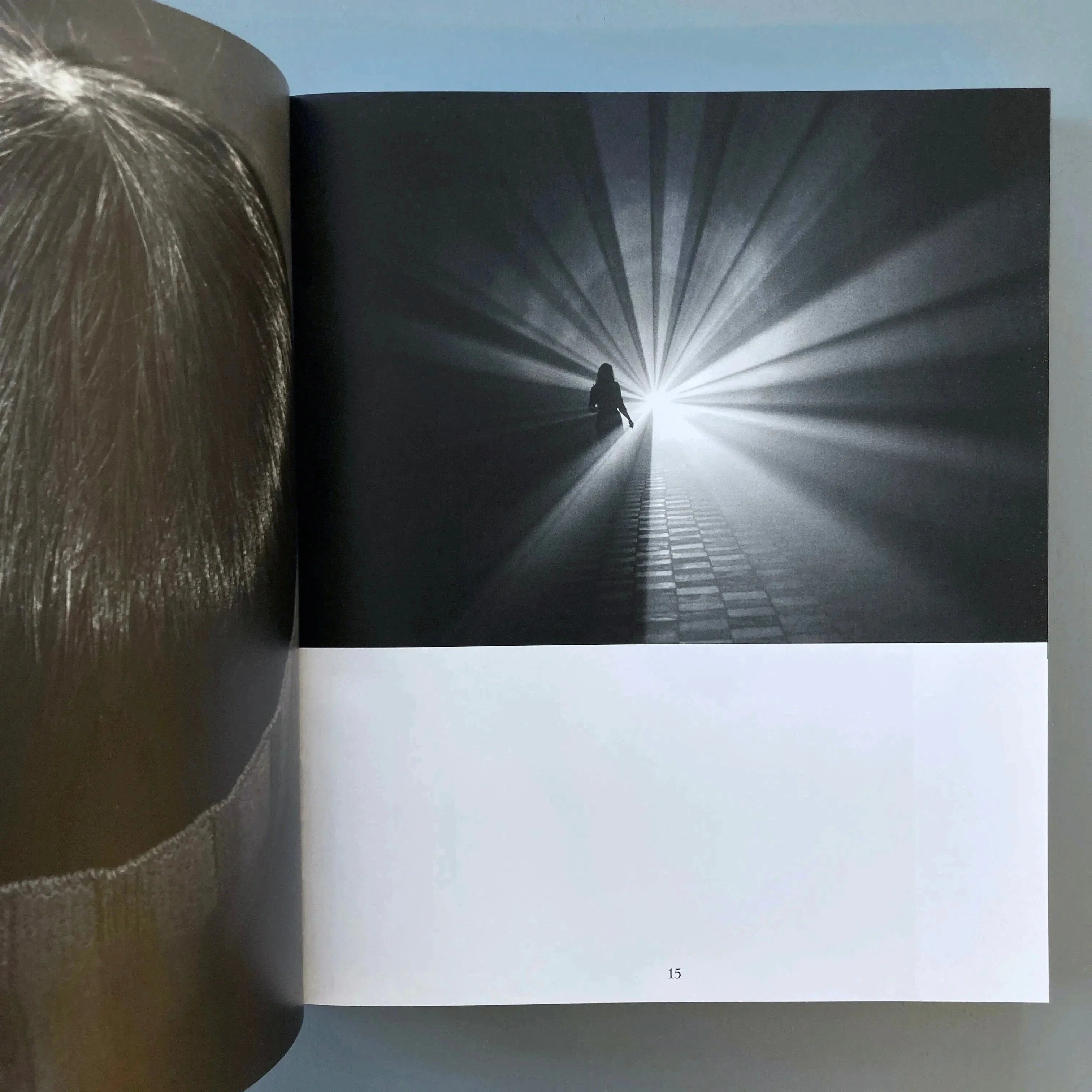 Ann Veronica Janssens, Michel François (signed) - Golden Hours - Zolo Press 2022 - Image 5