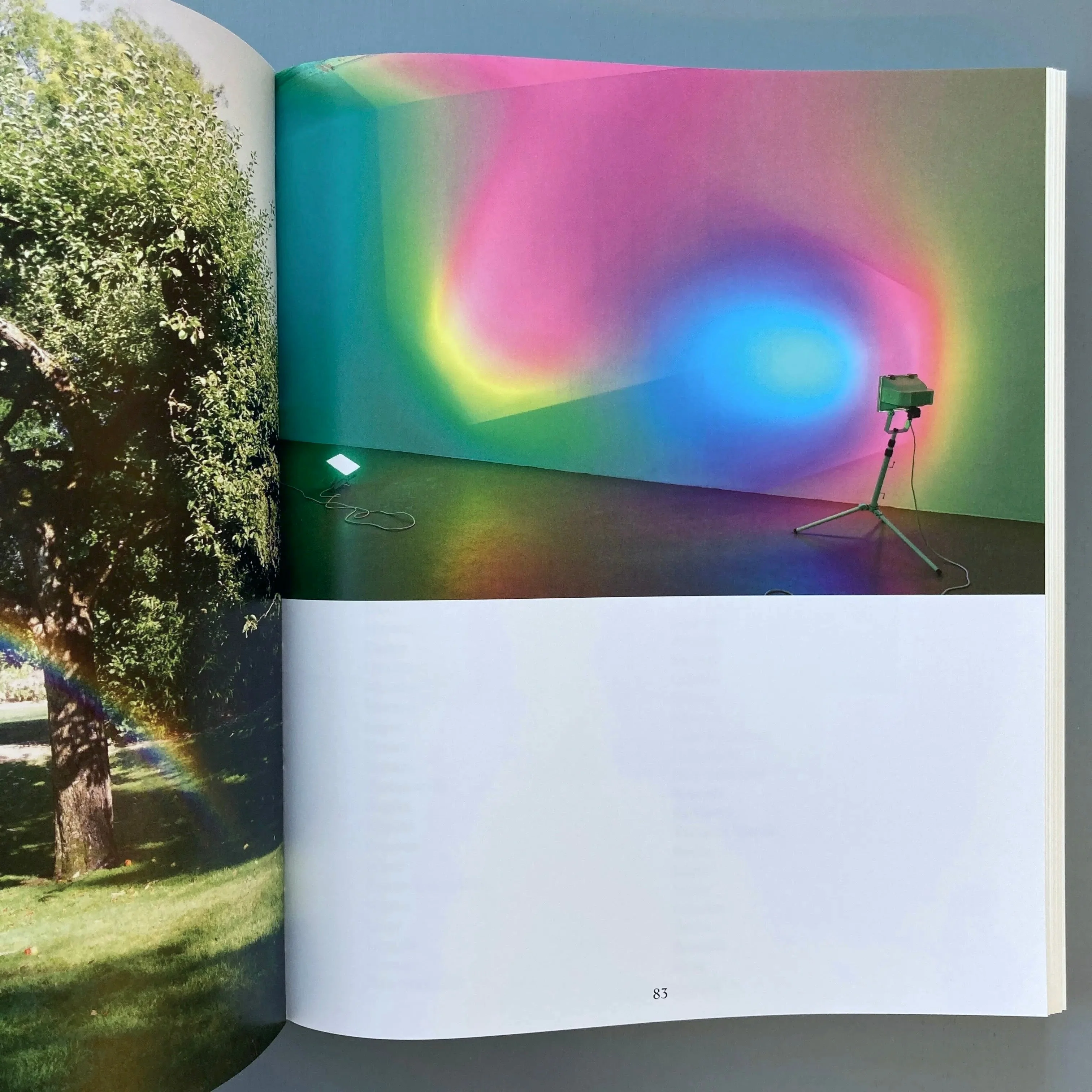 Ann Veronica Janssens, Michel François (signed) - Golden Hours - Zolo Press 2022 - Image 6