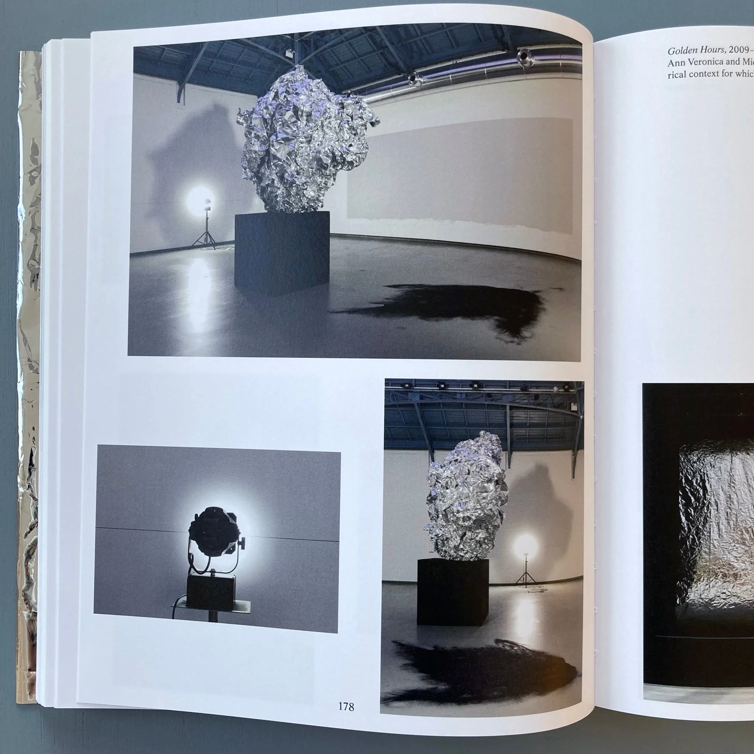Ann Veronica Janssens, Michel François (signed) - Golden Hours - Zolo Press 2022 - Image 8