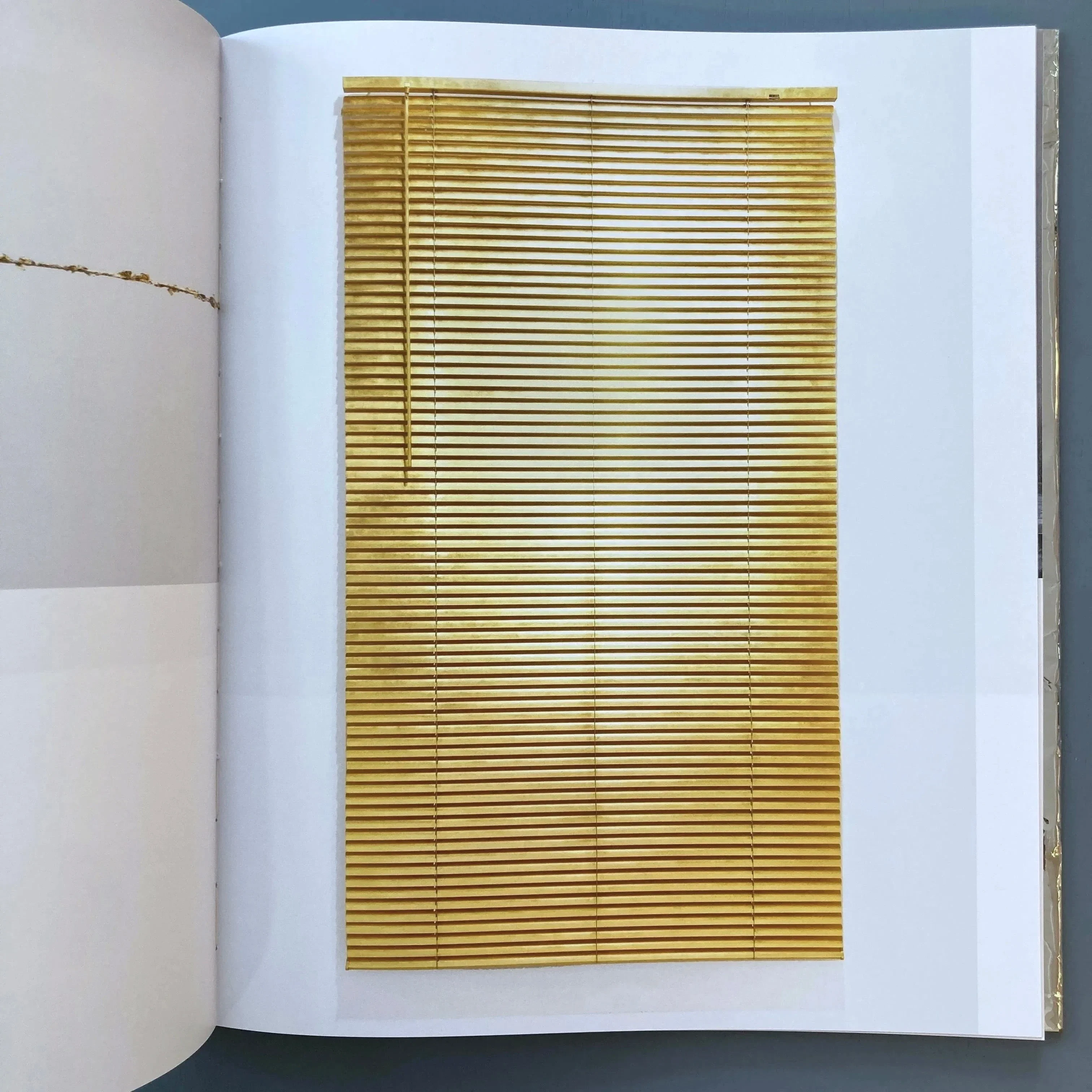 Ann Veronica Janssens, Michel François (signed) - Golden Hours - Zolo Press 2022 - Image 9