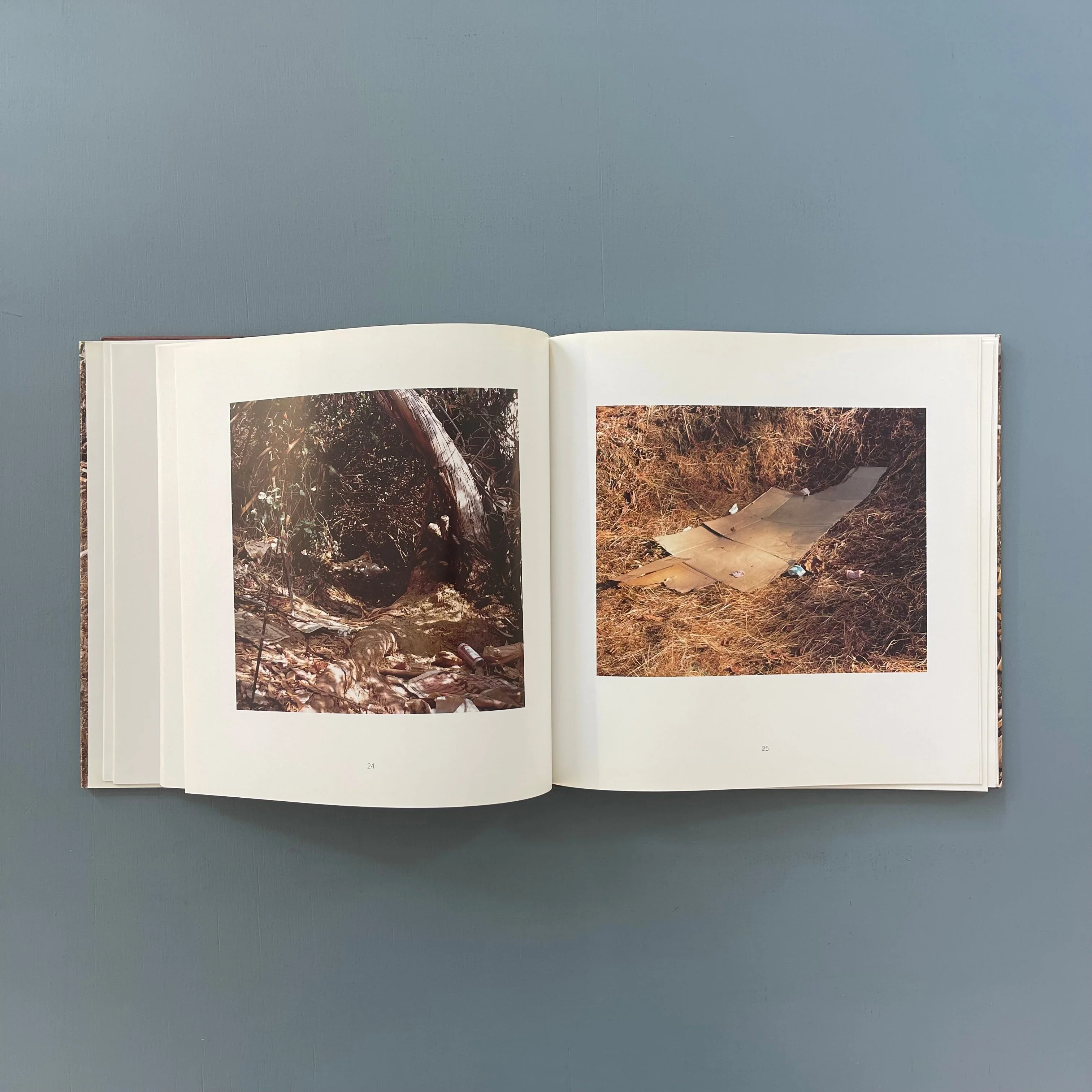Anthony Hernandez (signed) - Landscapes for the homeless - Sprengel Museum 1995 - Image 5
