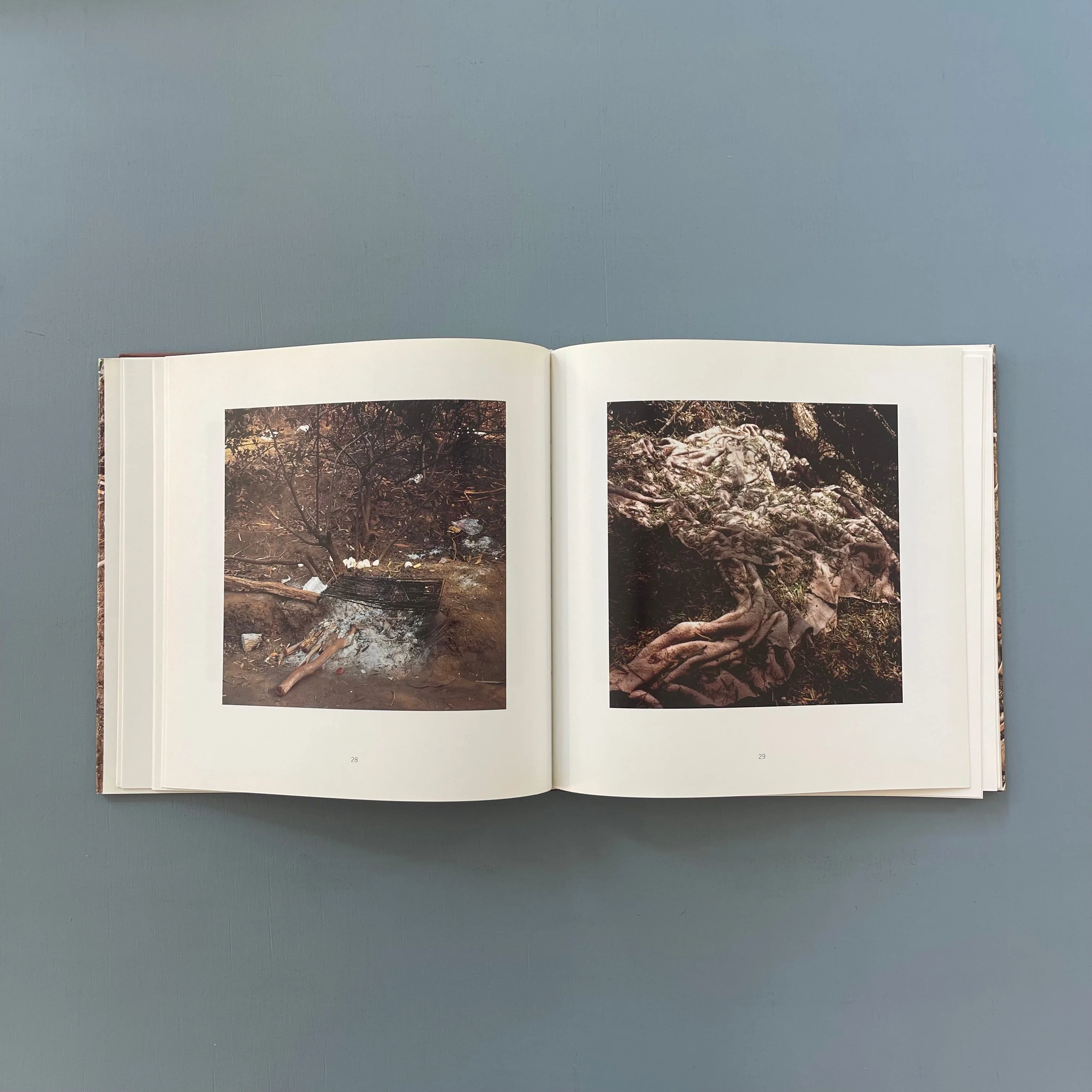 Anthony Hernandez (signed) - Landscapes for the homeless - Sprengel Museum 1995 - Image 7