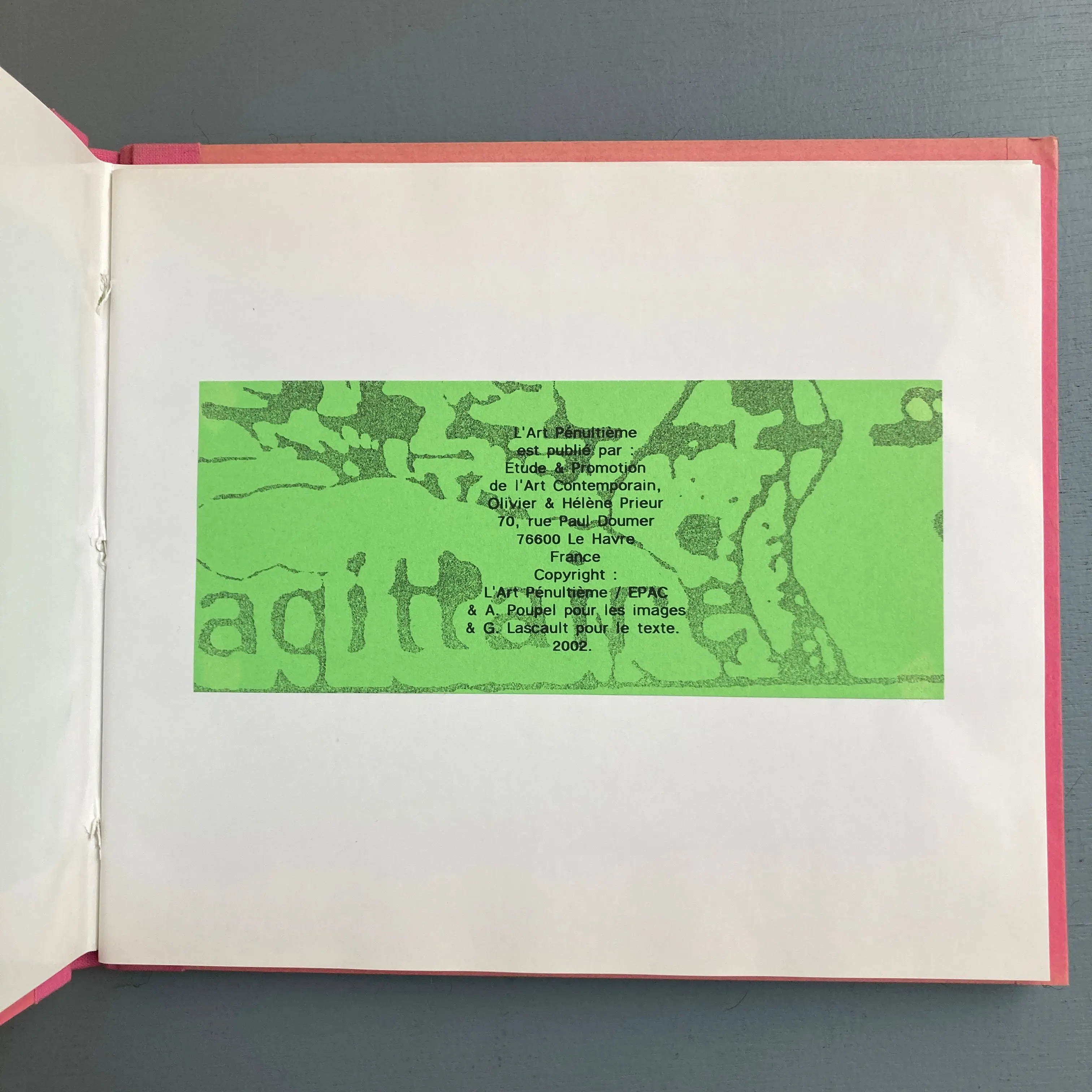 Antoine Poupel, Gilbert Lascault (signed) - Rose ouverte, L'Art Pénultième - 2002 - Image 4