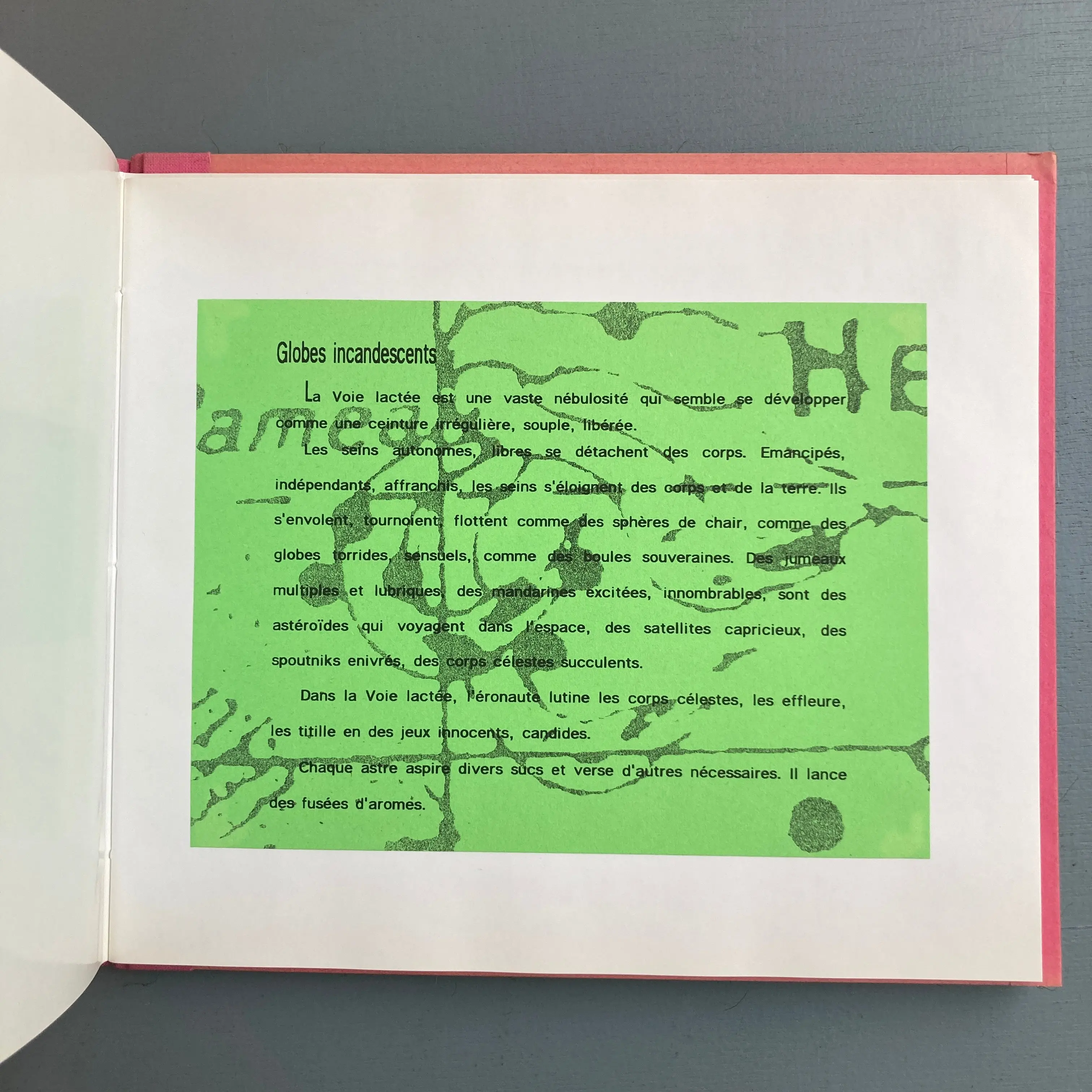 Antoine Poupel, Gilbert Lascault (signed) - Rose ouverte, L'Art Pénultième - 2002 - Image 6