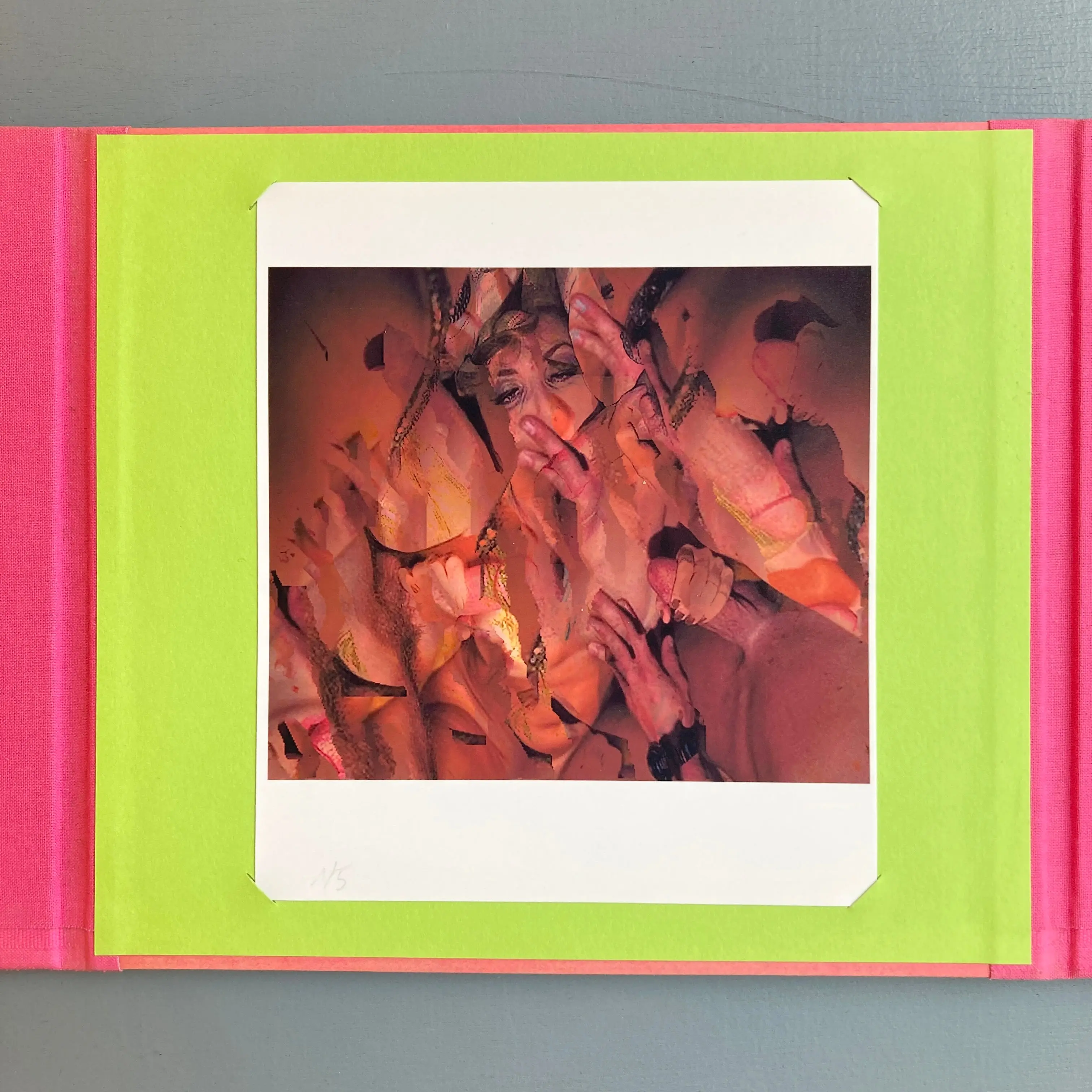 Antoine Poupel, Gilbert Lascault (signed) - Rose ouverte, L'Art Pénultième - 2002 - Image 7