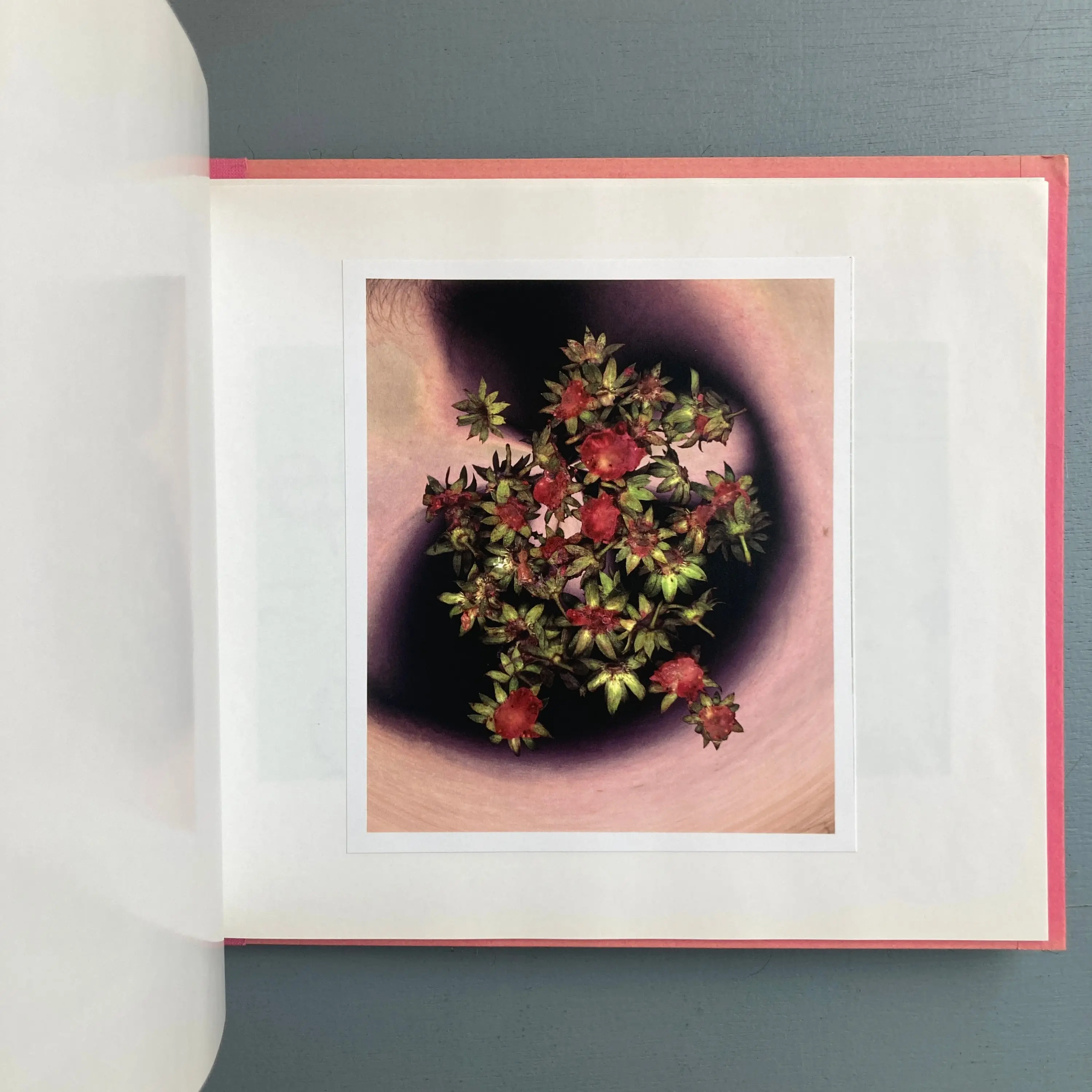 Antoine Poupel, Gilbert Lascault (signed) - Rose ouverte, L'Art Pénultième - 2002 - Image 8