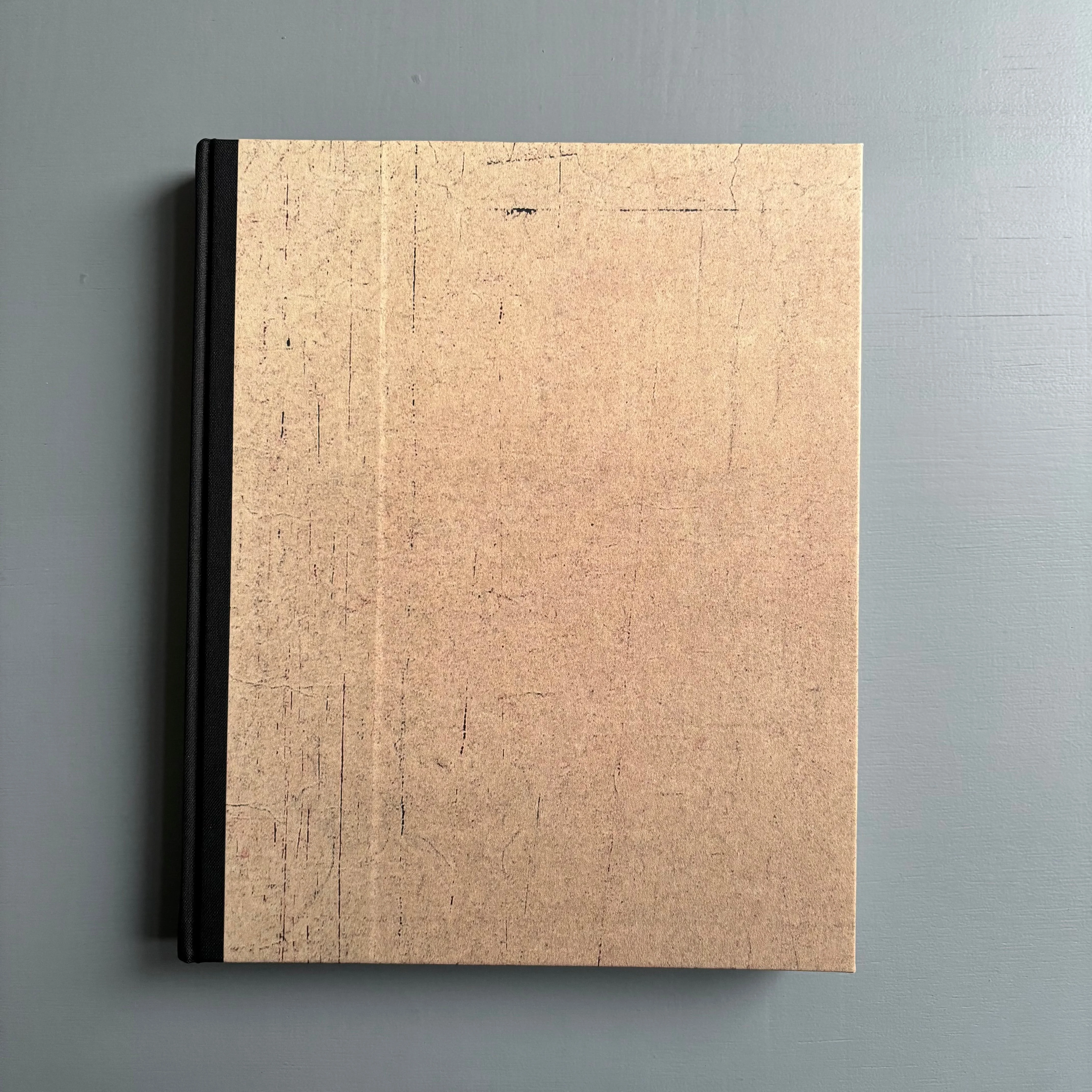 Antoni Tàpies - Lo Sguardo dell'Artista - MER. Books 2013