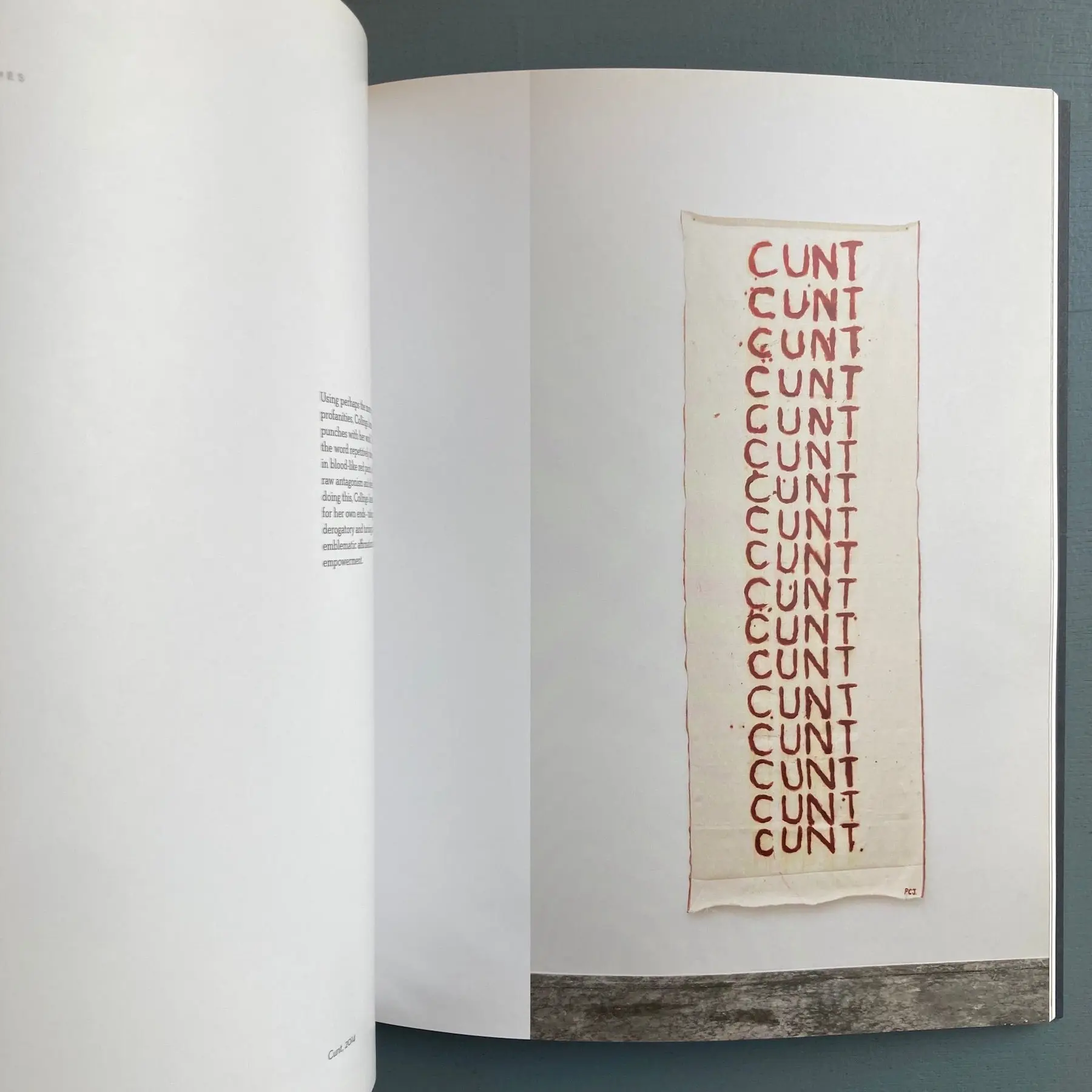 Art & Laguage, Phoebe Collings-James, Sam Anderson - Cookie Butcher 2014 - Image 6