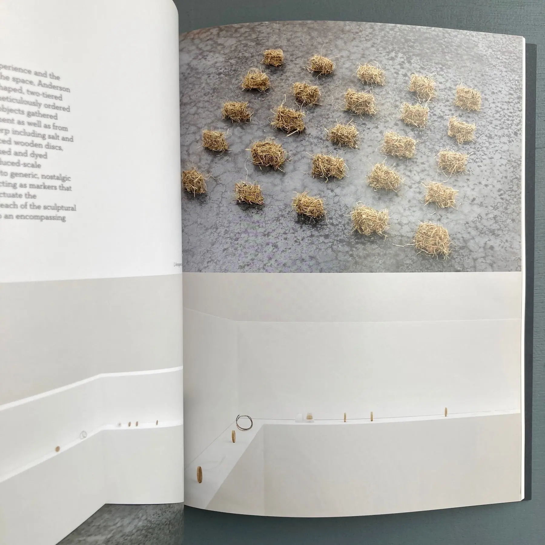 Art & Laguage, Phoebe Collings-James, Sam Anderson - Cookie Butcher 2014 - Image 8