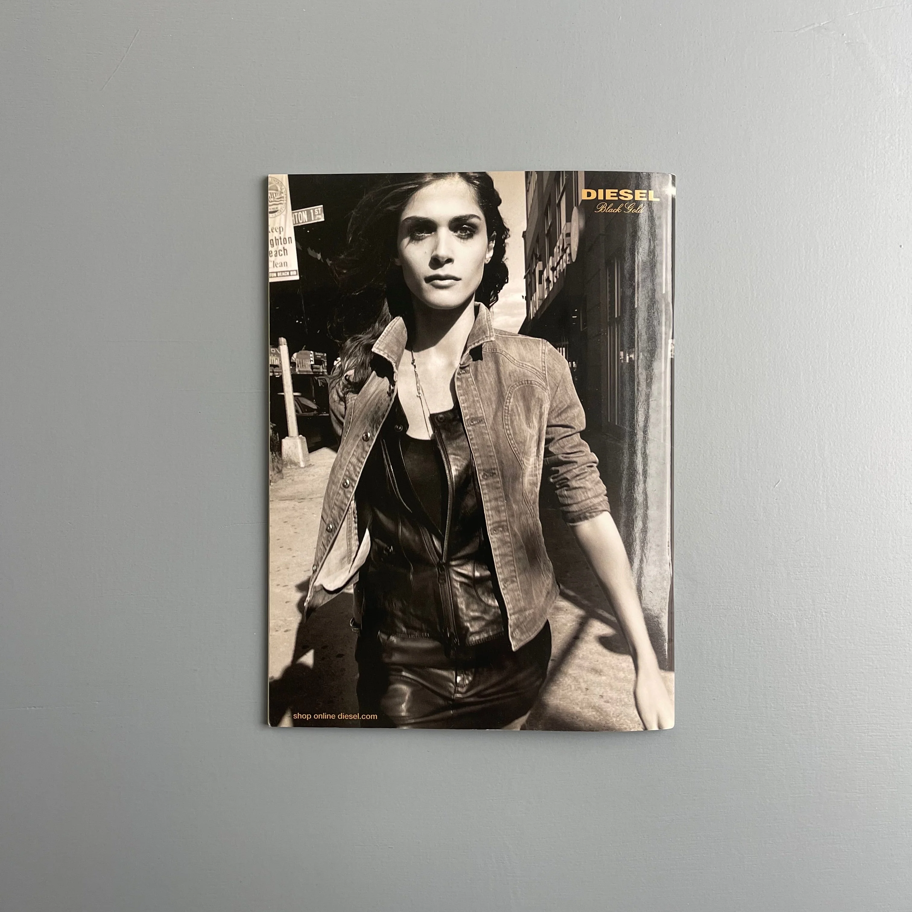Aurel Schmidt - Pussy - Purple Book 2010 - Image 11