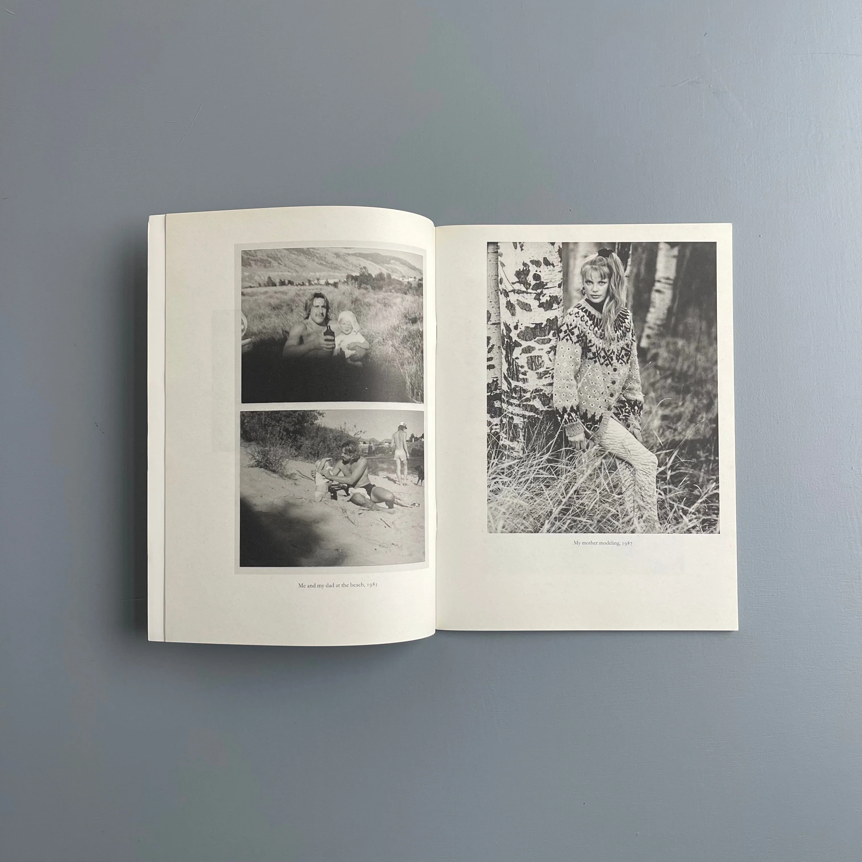 Aurel Schmidt - Pussy - Purple Book 2010 - Image 2