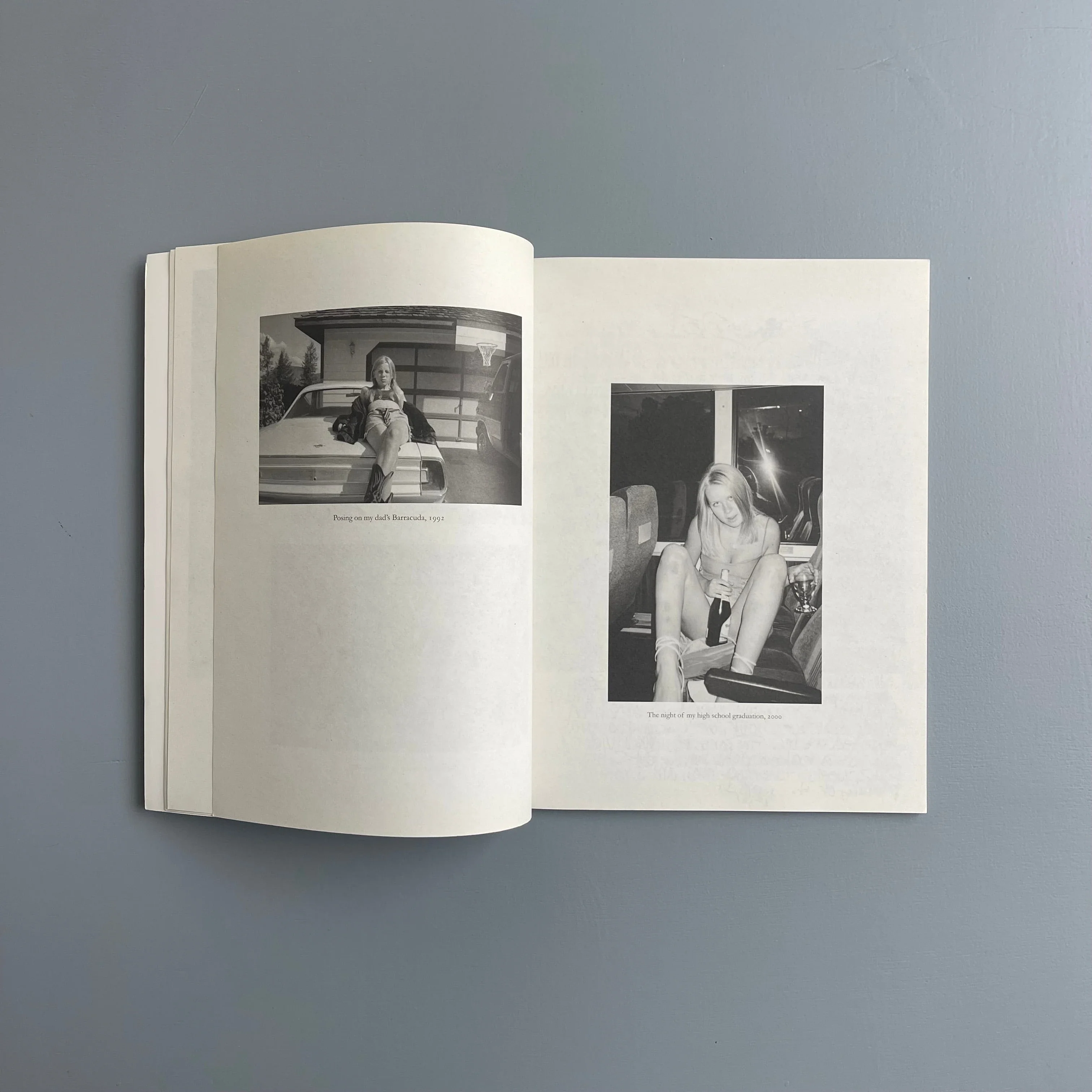 Aurel Schmidt - Pussy - Purple Book 2010 - Image 4