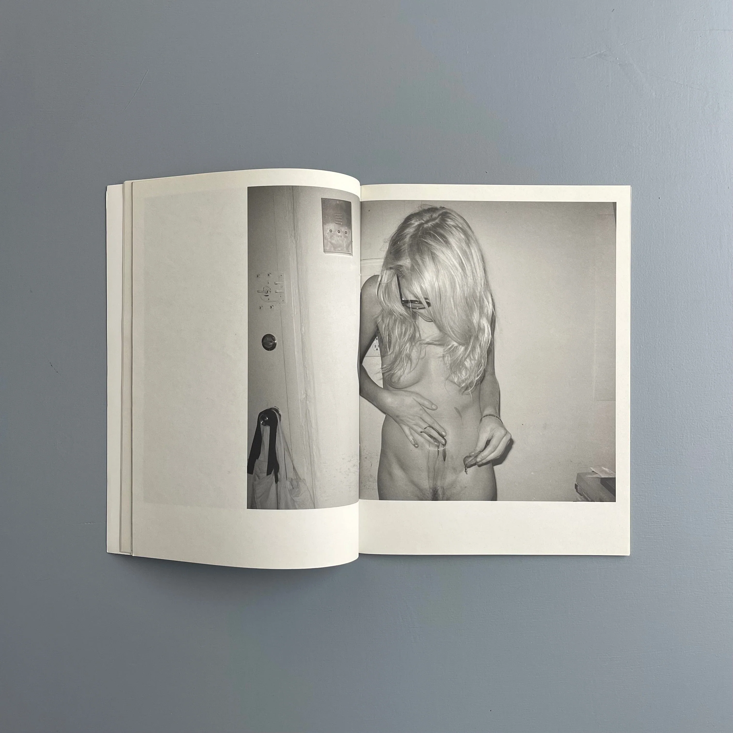 Aurel Schmidt - Pussy - Purple Book 2010 - Image 6