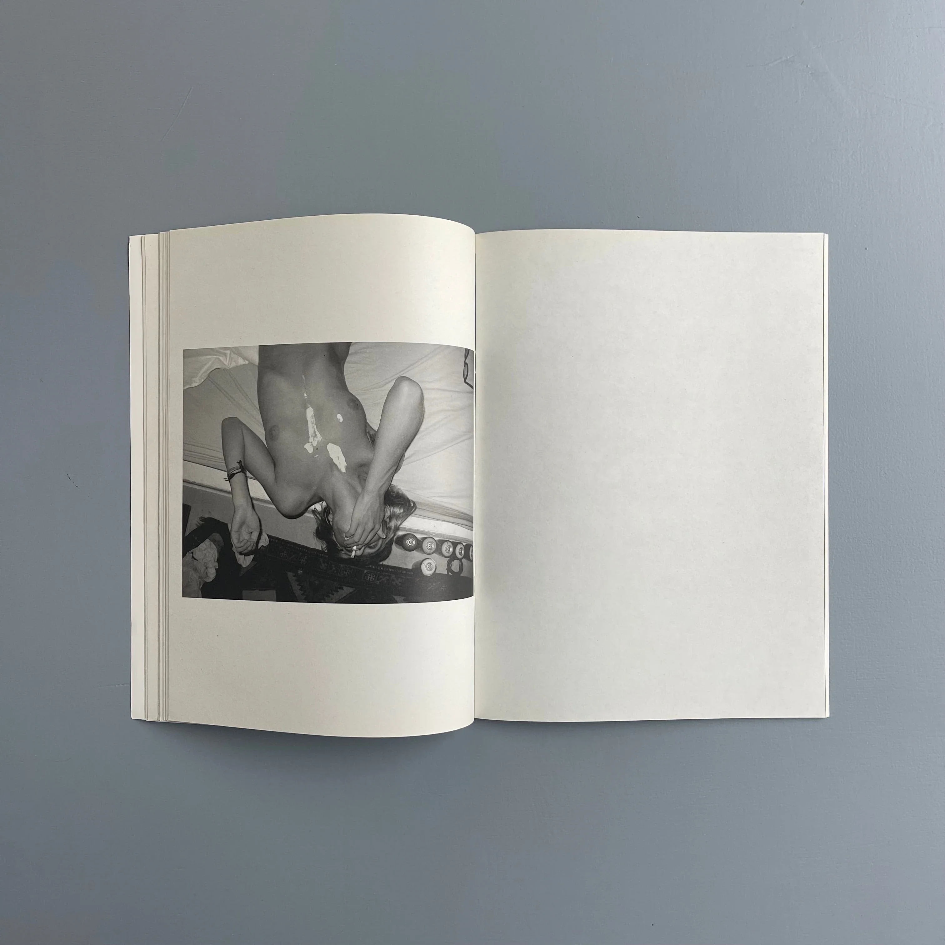 Aurel Schmidt - Pussy - Purple Book 2010 - Image 8