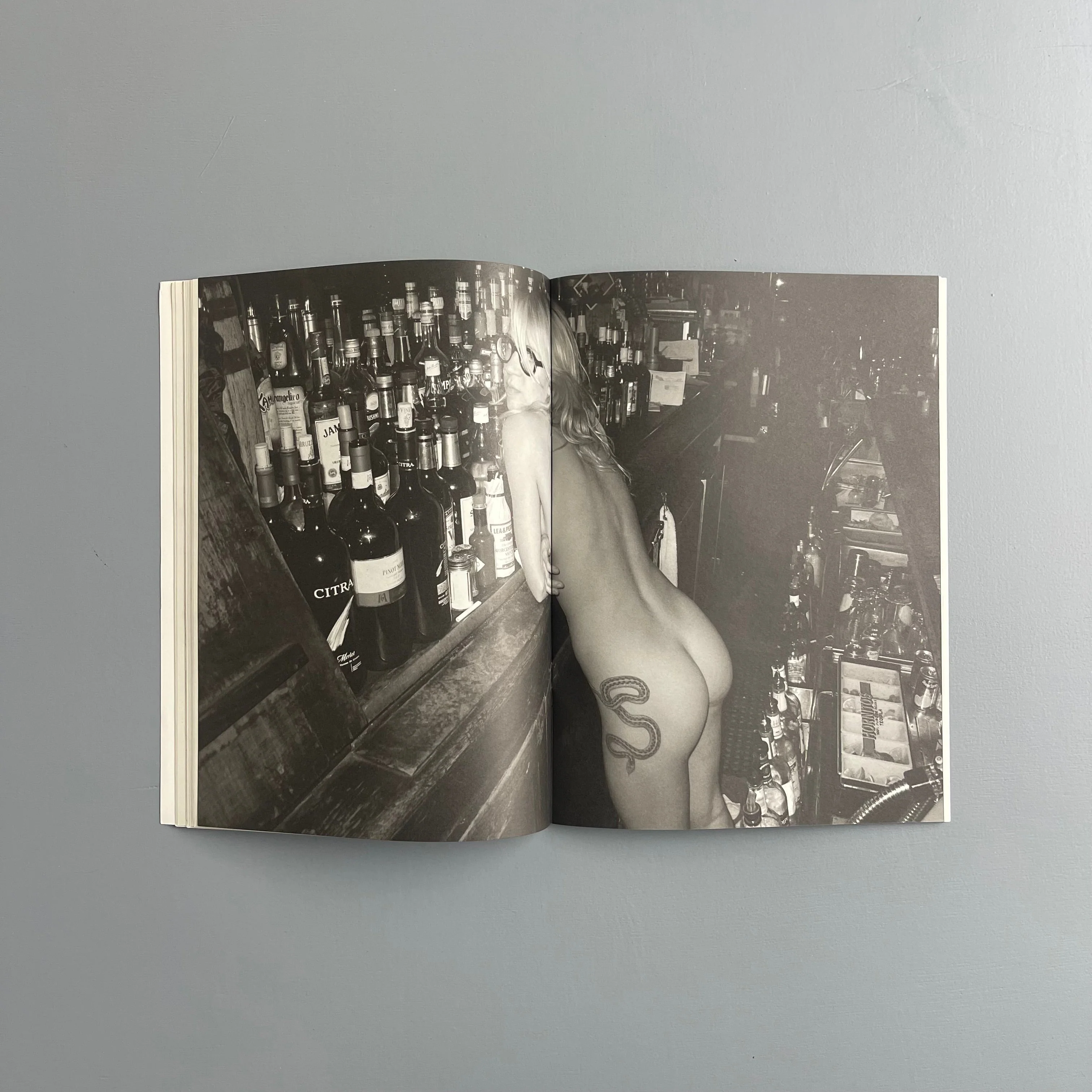 Aurel Schmidt - Pussy - Purple Book 2010 - Image 9
