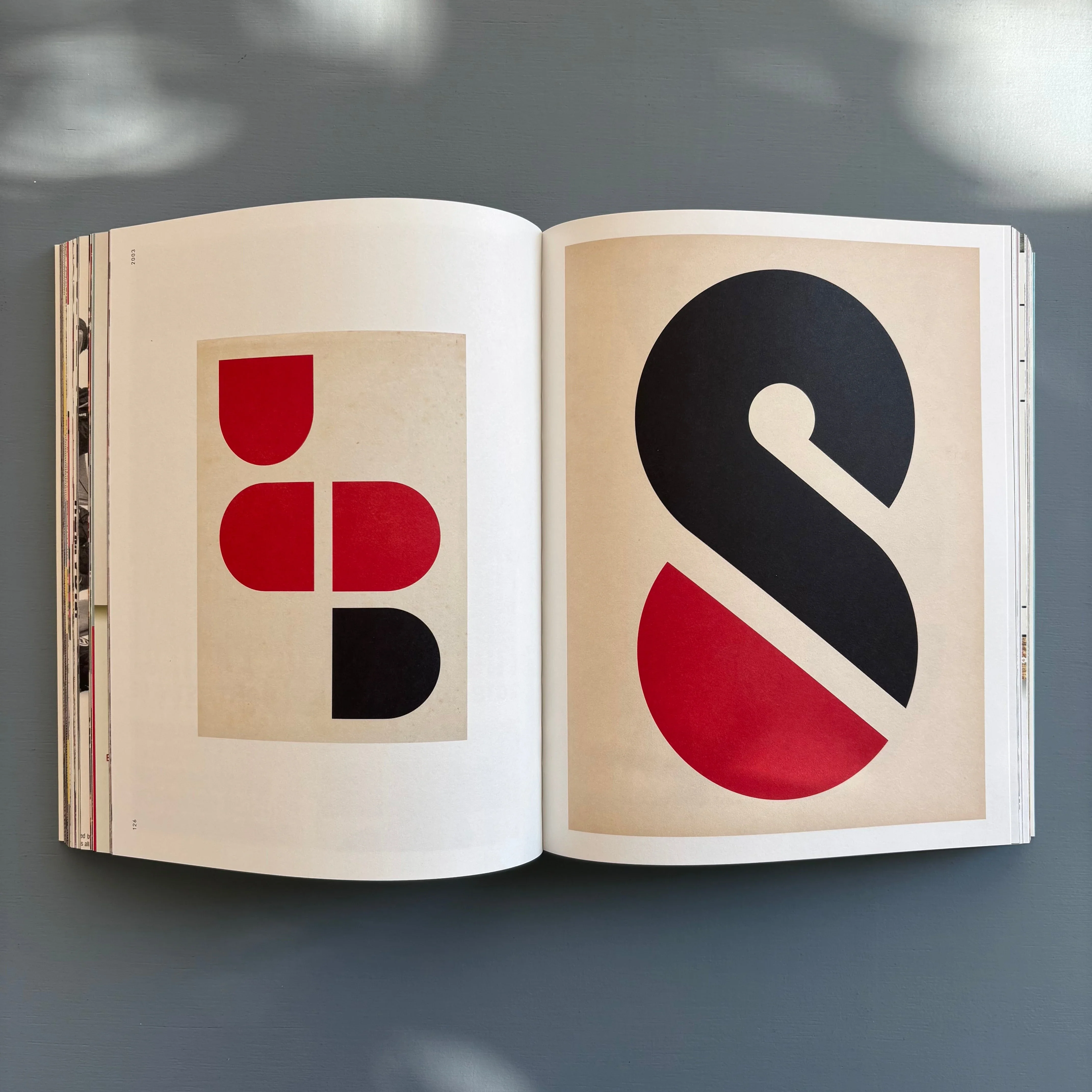 Bart Luijten - Not For A Want Of Trying - Hopper & Fuchs 2025 - Image 6