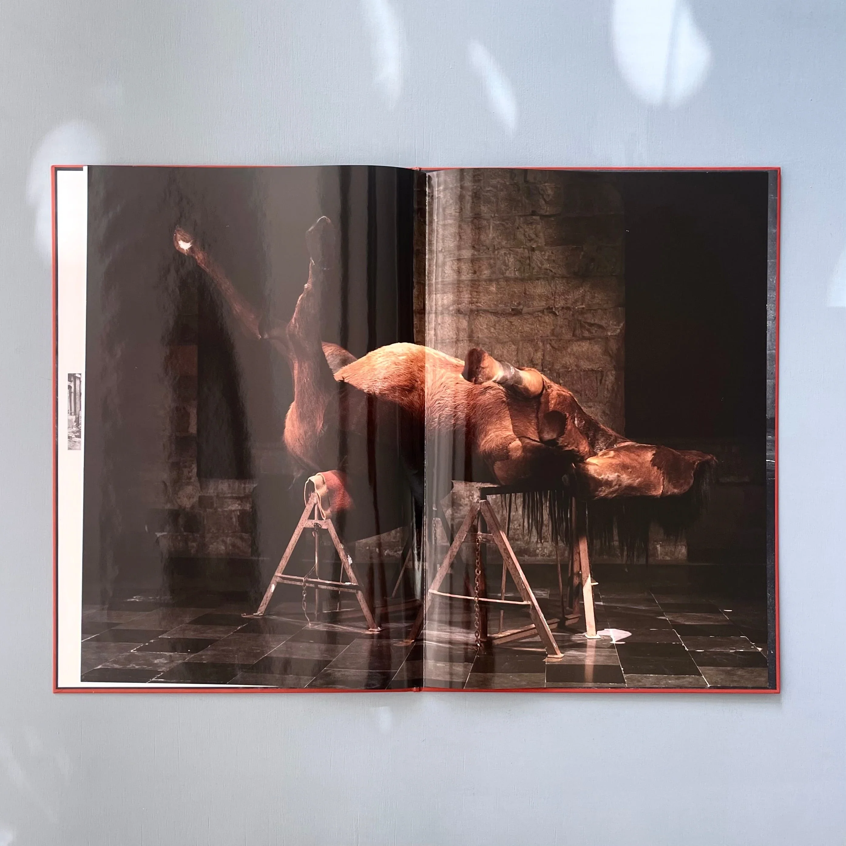 Berlinde De Bruyckere - In Flanders Fields - Flanders Fields Museum 2000 - Image 5
