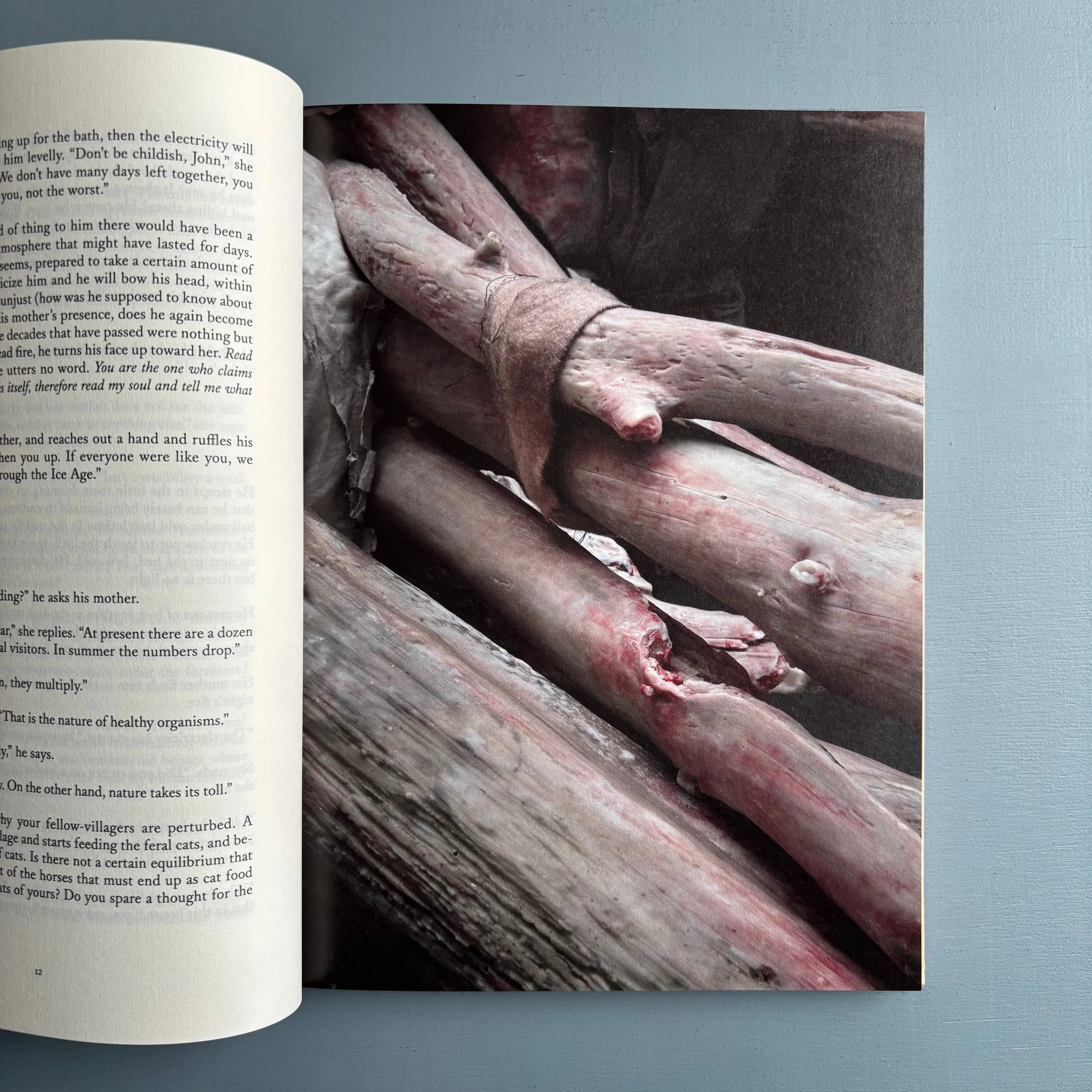Berlinde De Bruyckere & J.M. Coetzee - Cripplewood/Kreupelhout - Mercatorfonds 2013 - Image 2