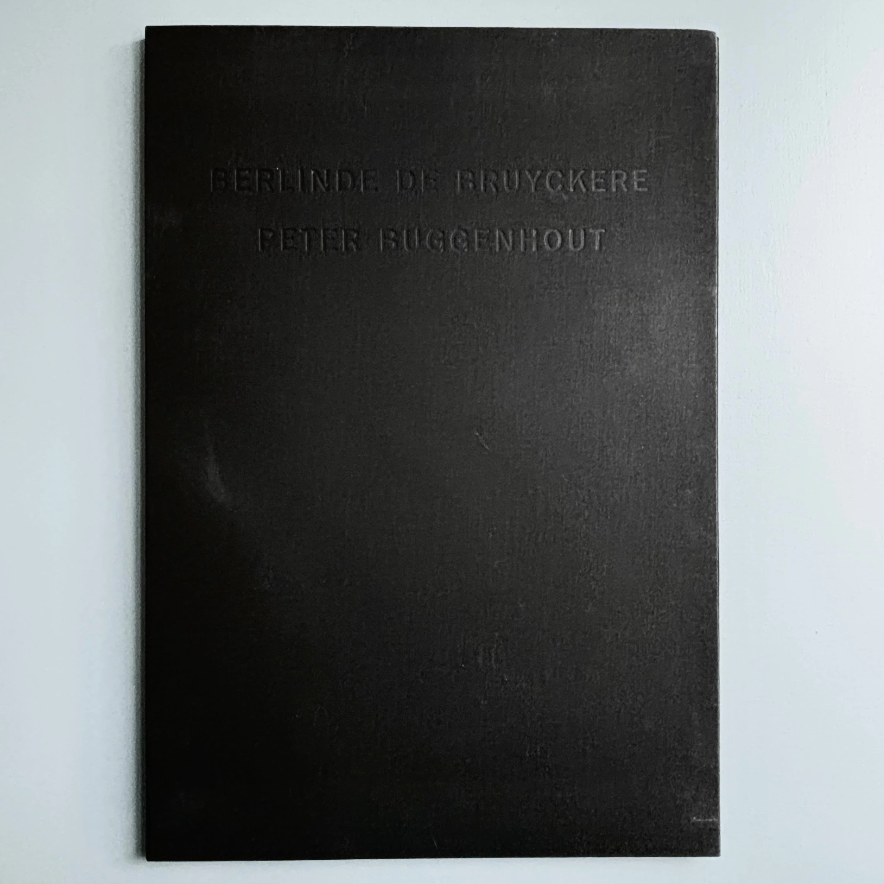 Berlinde De Bruyckere / Peter Buggenhout - Tweeluik '98 - Kapel op het Campo-Santo 1998