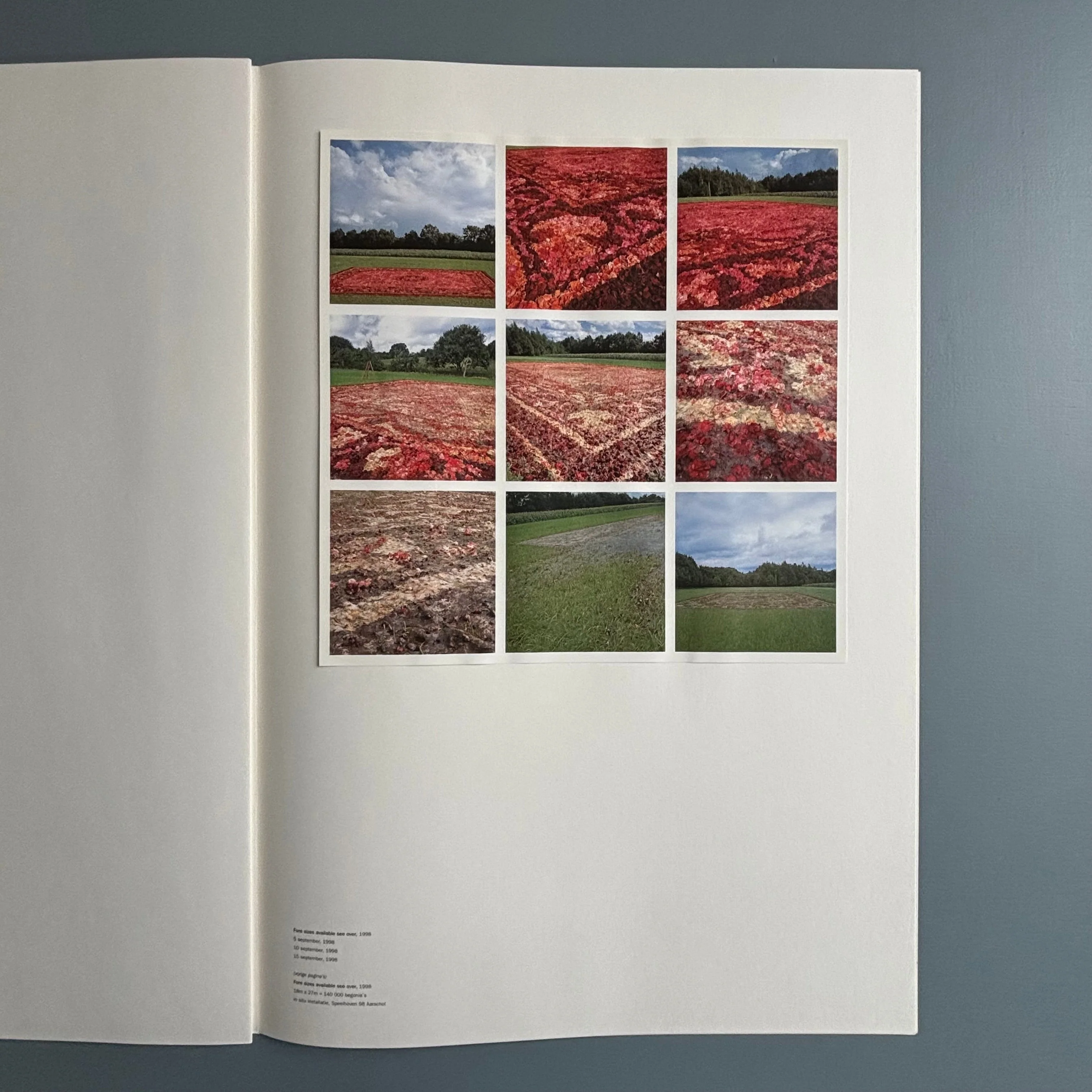 Berlinde De Bruyckere / Peter Buggenhout - Tweeluik '98 - Kapel op het Campo-Santo 1998 - Image 10